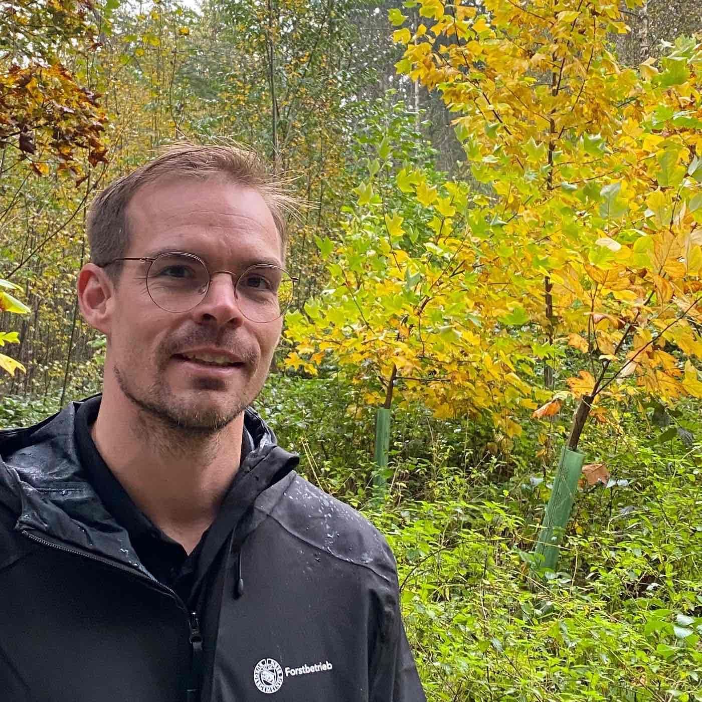 Glühwürmchen - oder wie man die Artenvielfalt im Wald fördert
