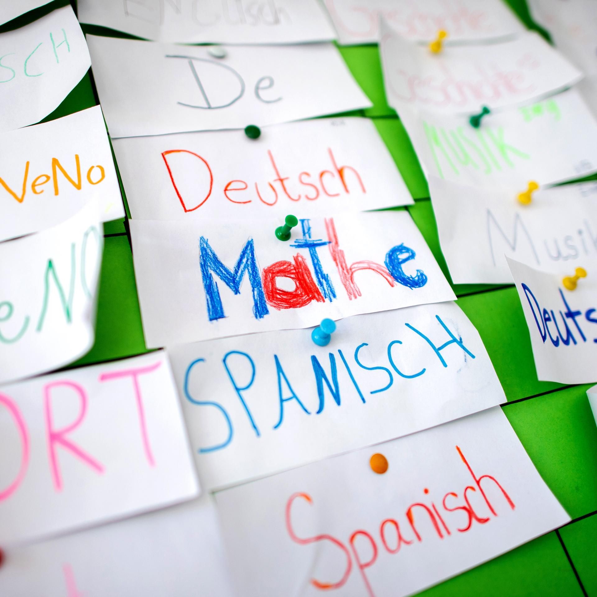 Kakadu eure Fragen: - Wer bestimmt die Schulfächer?