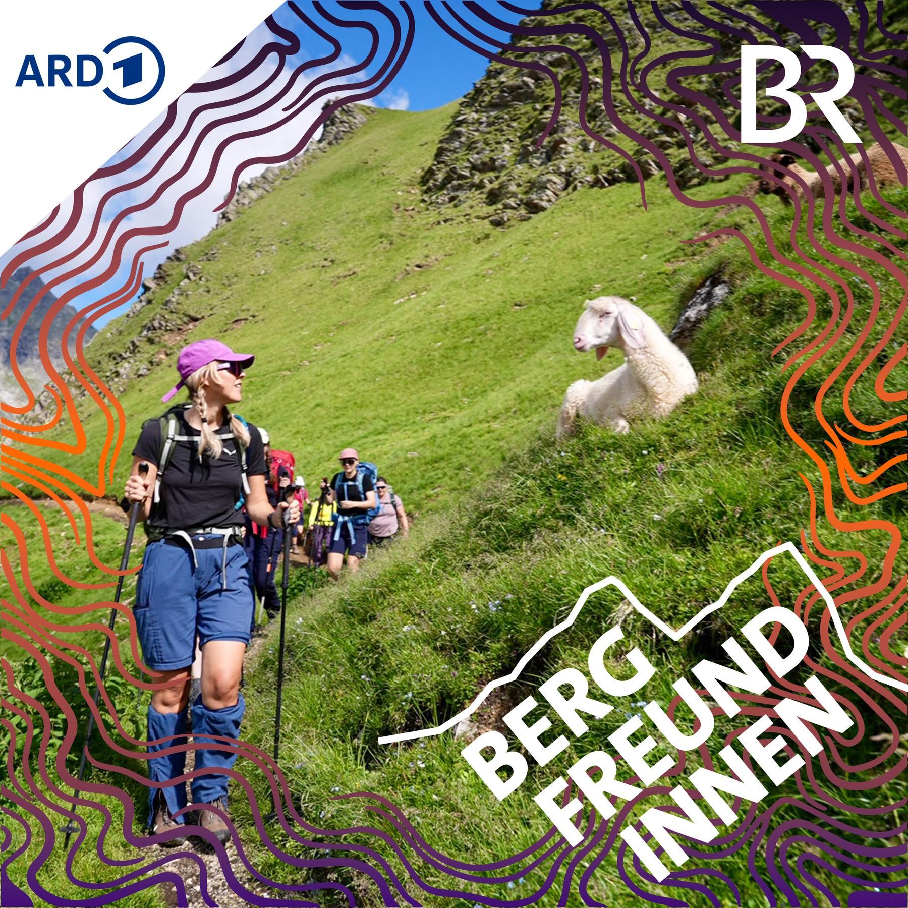 Menstruation am Berg & schwieriger Abstieg ins Gschnitztal | Alpenüberquerung Hoch Zwei | Tag 5