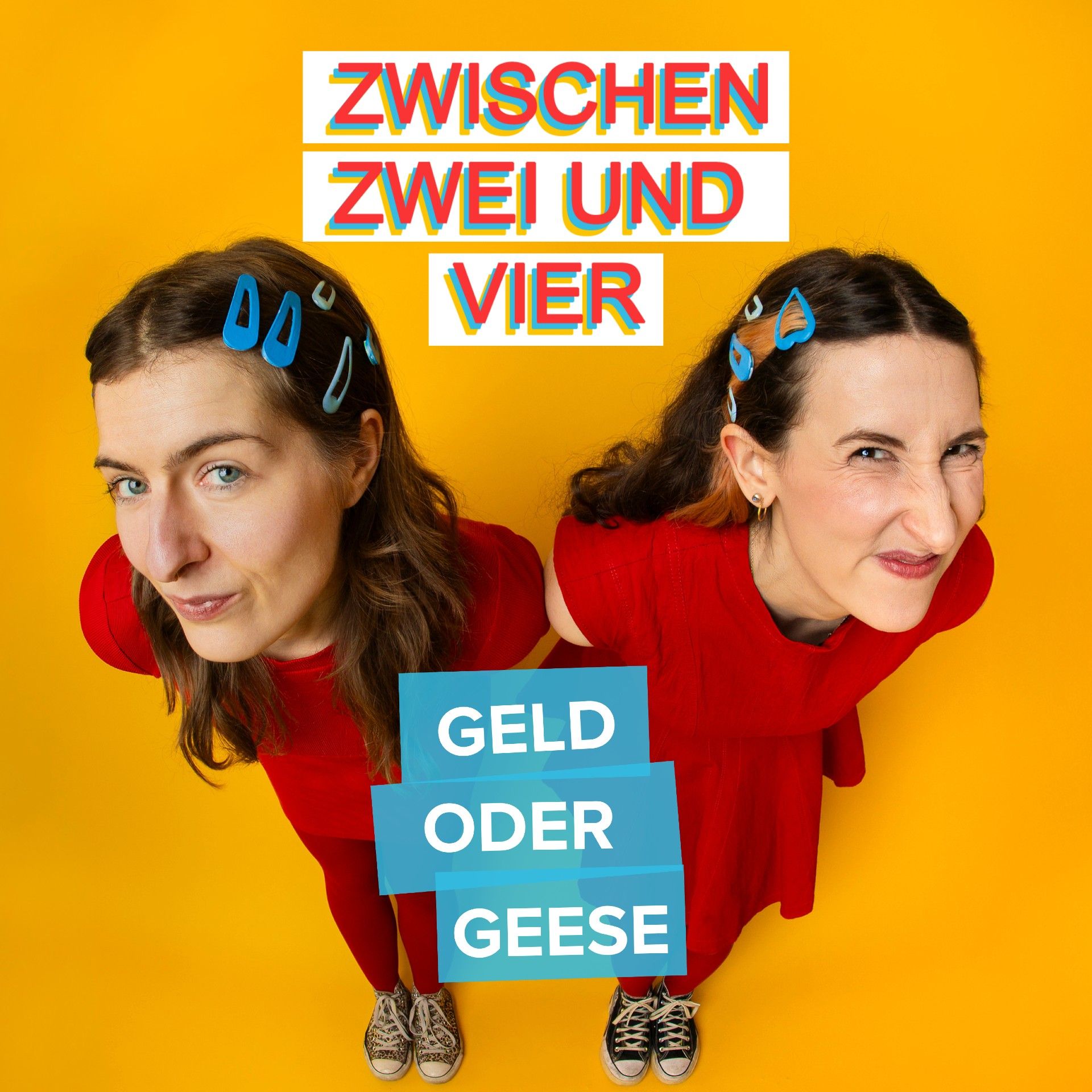 Geld oder Geese