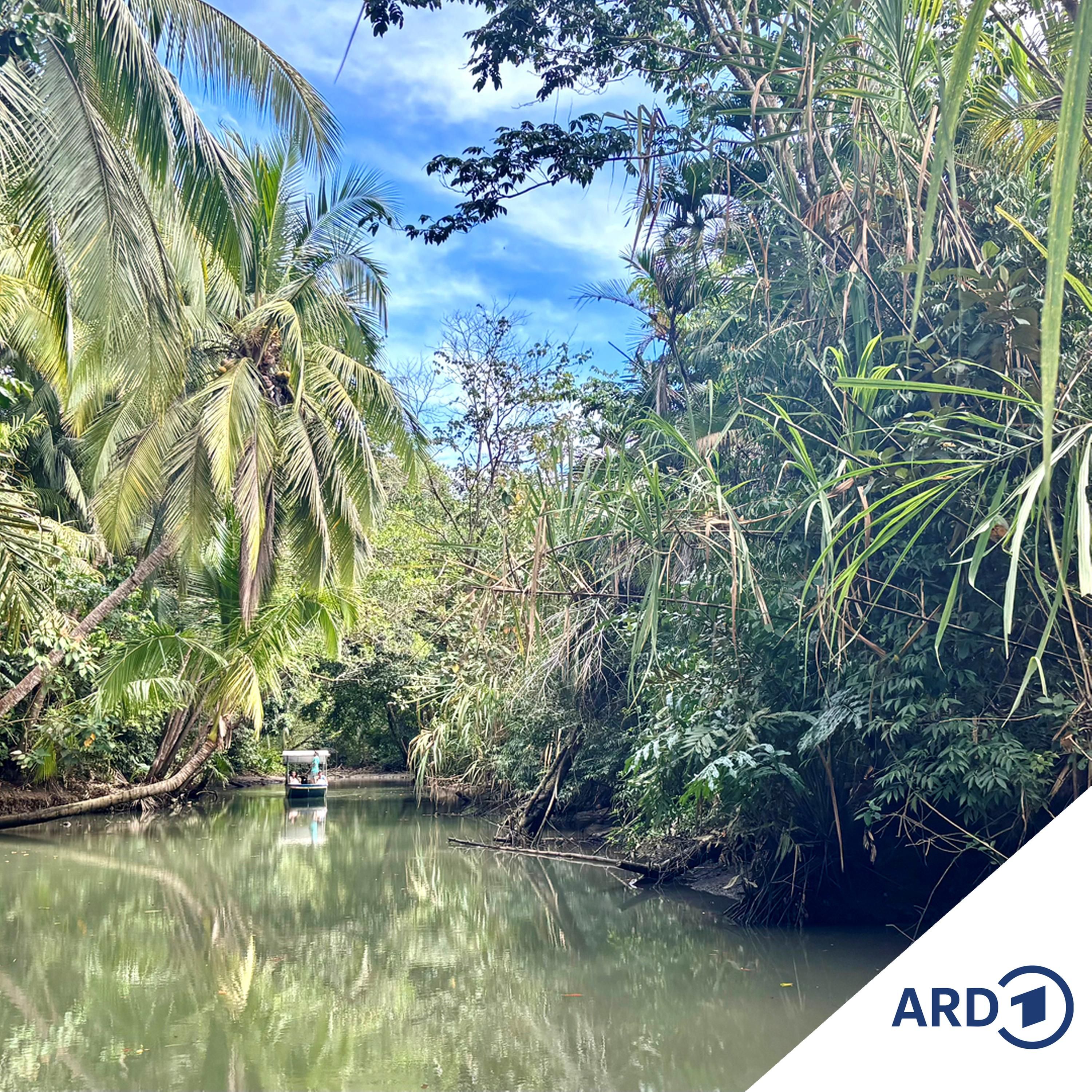 Costa Rica: Wie Tourismus den Regenwald schützt