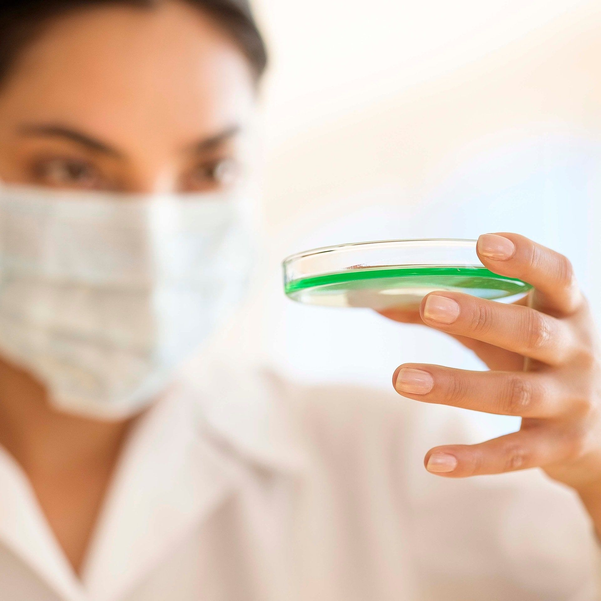Synthetische Zelle mit vielen Lebensmerkmalen entwickelt