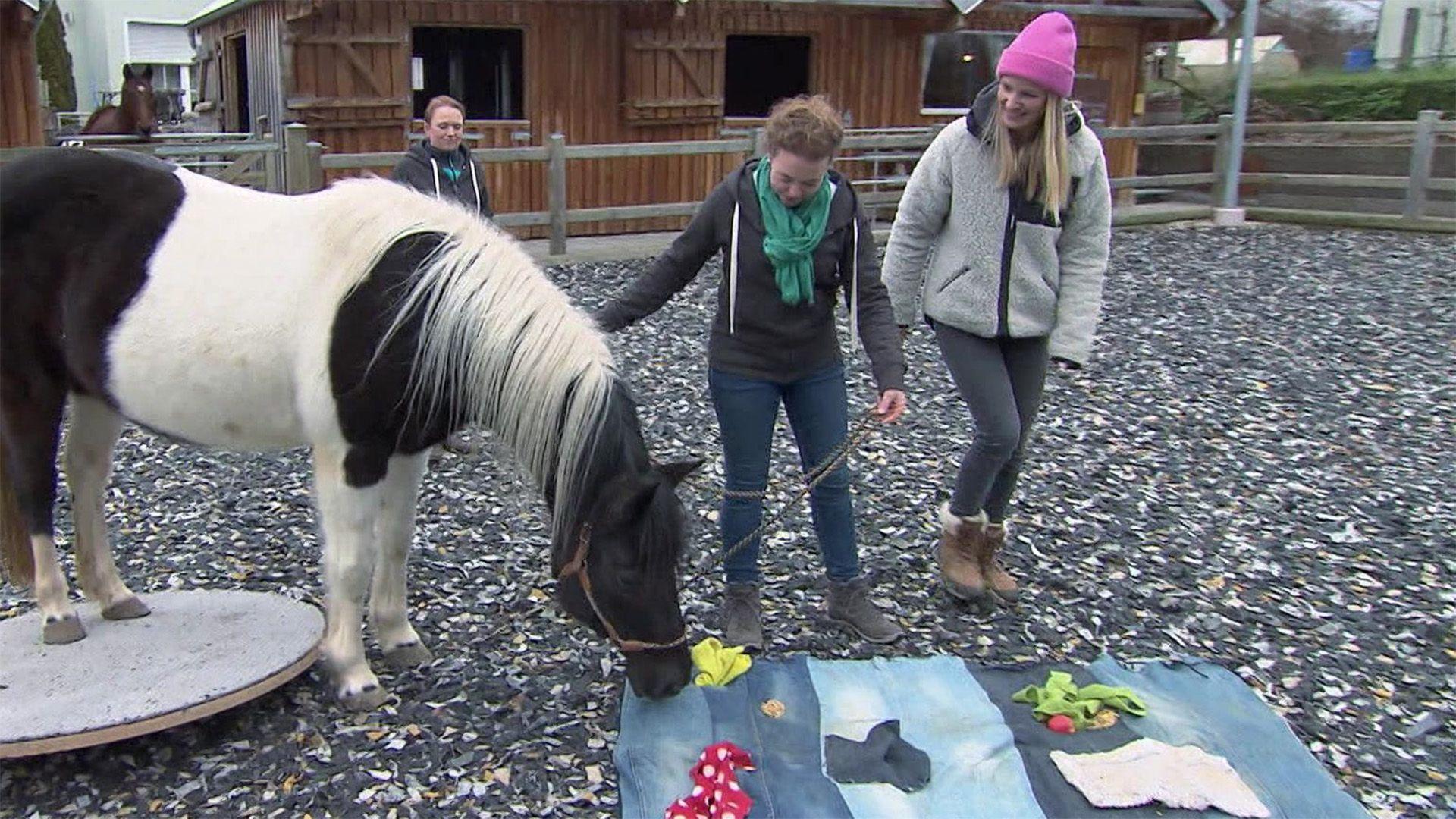 Folge vom 26.02.2022