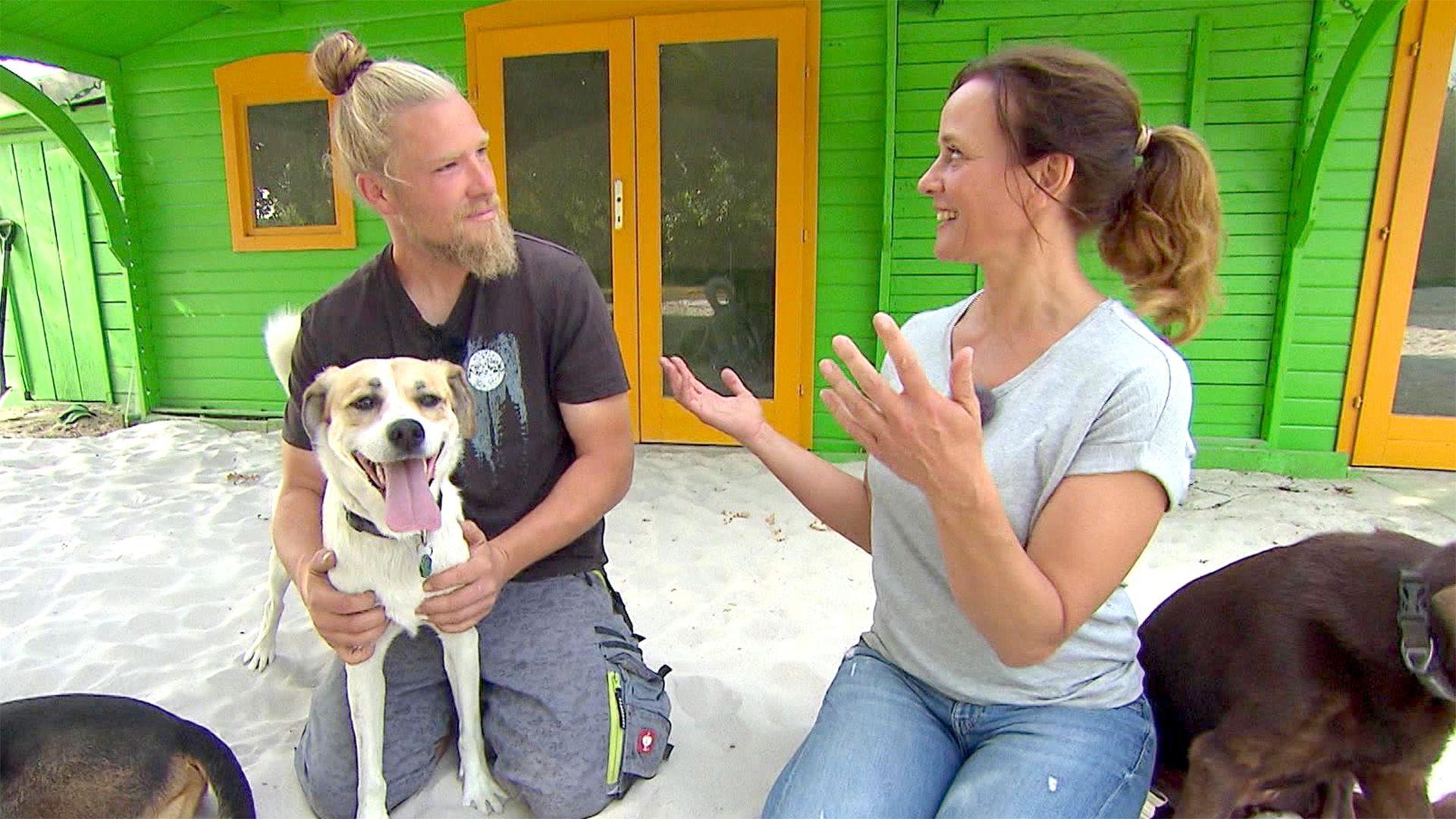 U.a.: Mimik- und Körpersprache-basiertes Spielen mit Hunden