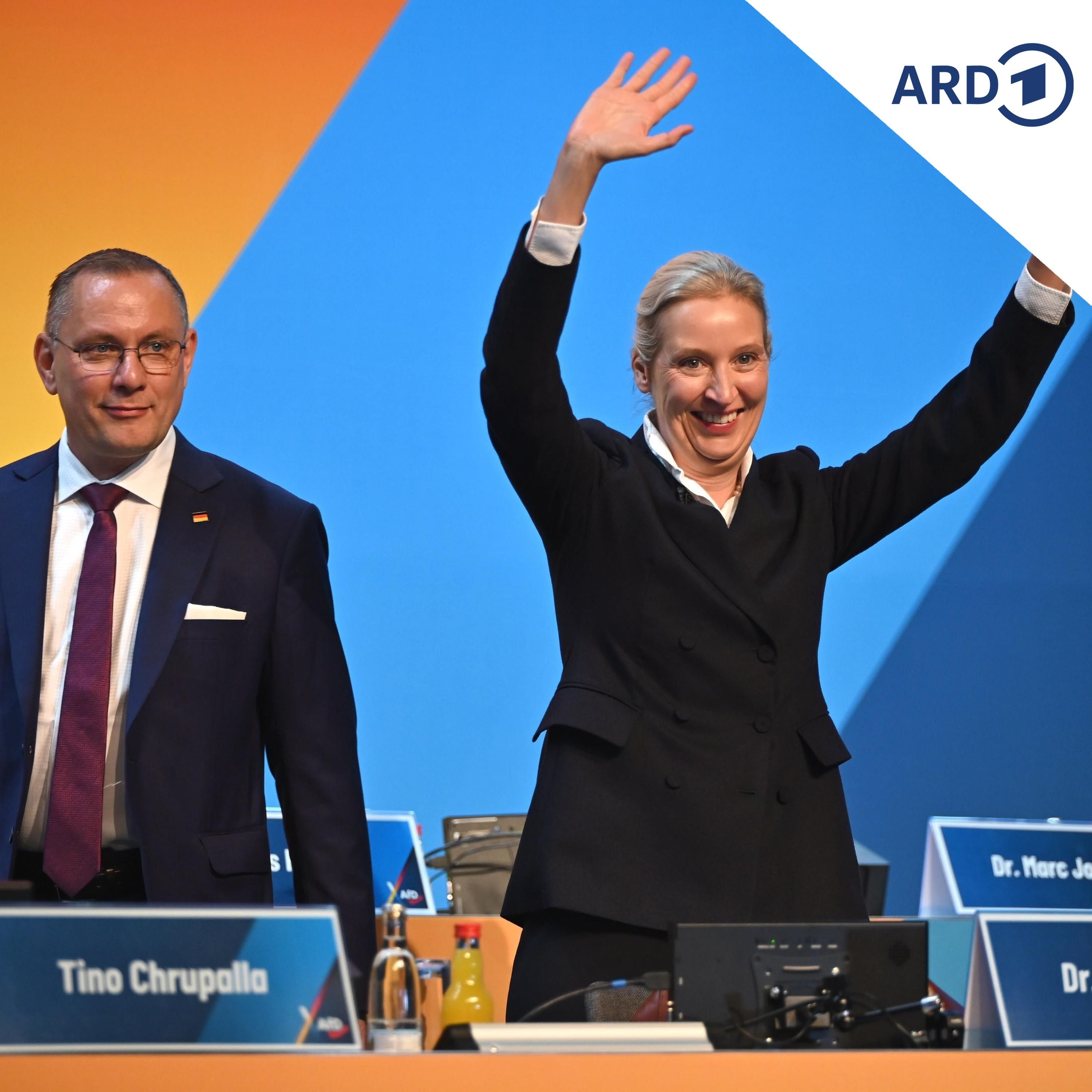 Weidel und Chrupalla: So lief ihre Wiederwahl an die AfD-Spitze