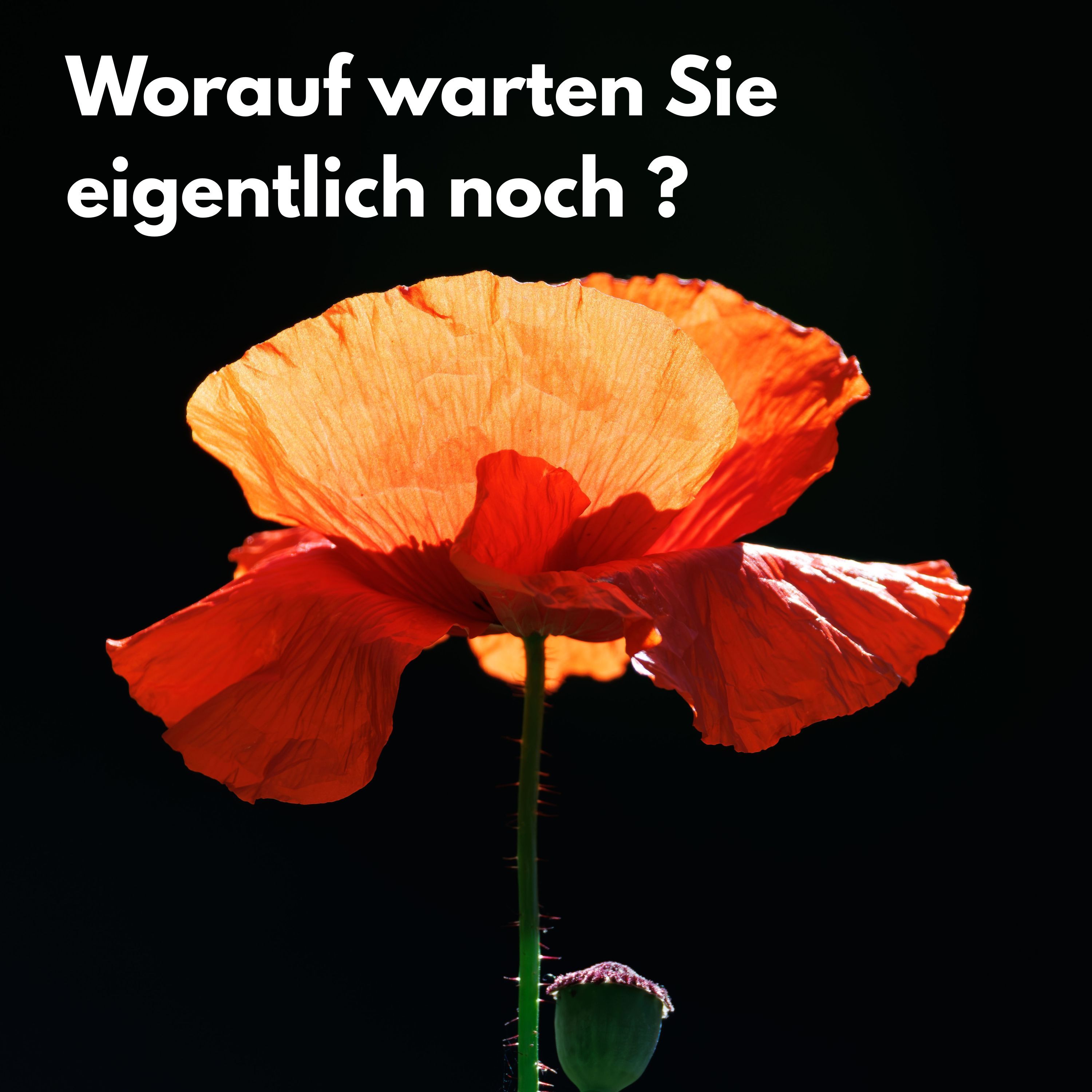 Worauf warten Sie eigentlich noch? | Warum Männer 60+ ihr Leben auf später verschieben