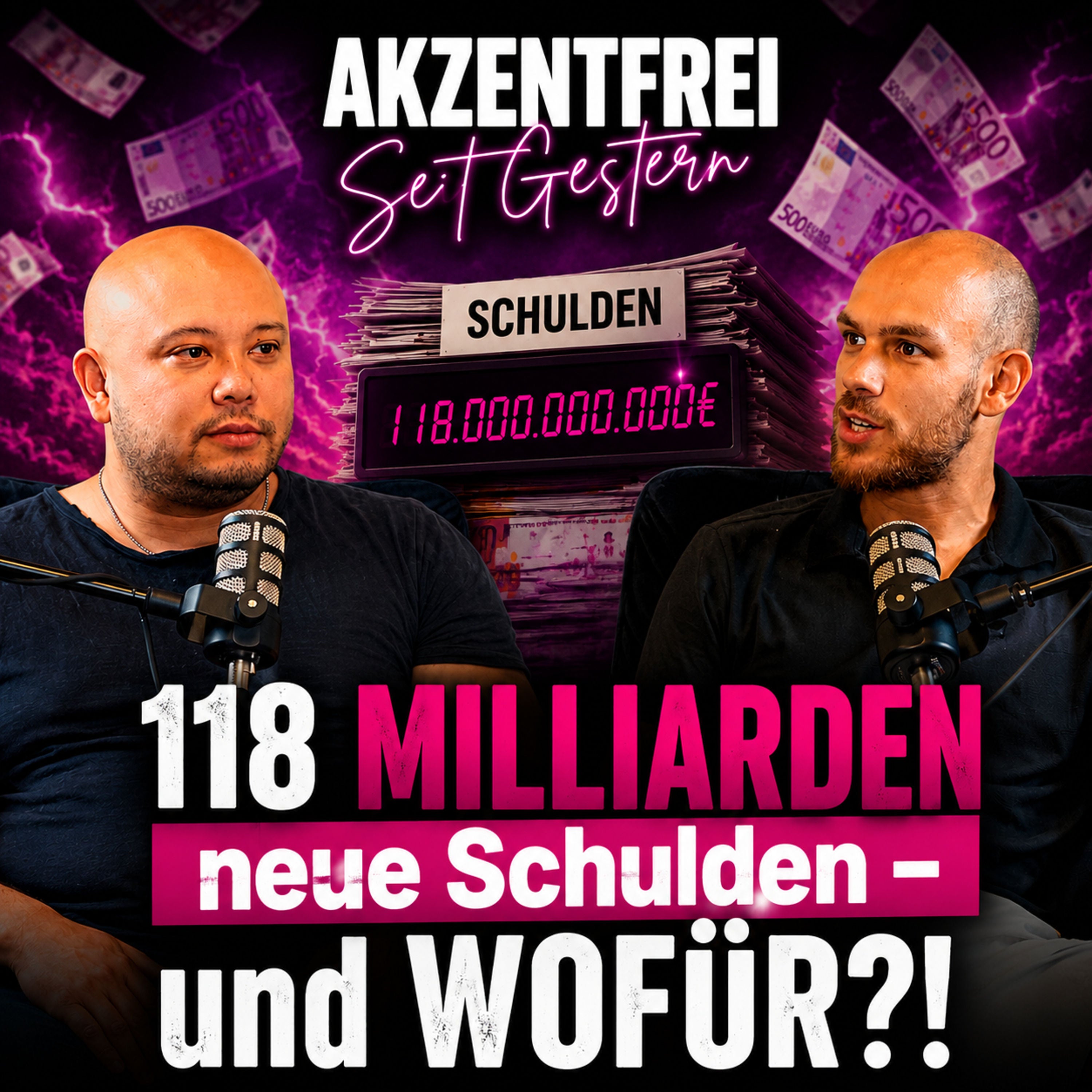 118 MILLIARDEN neue Schulden und WOFÜR?! Folge 43