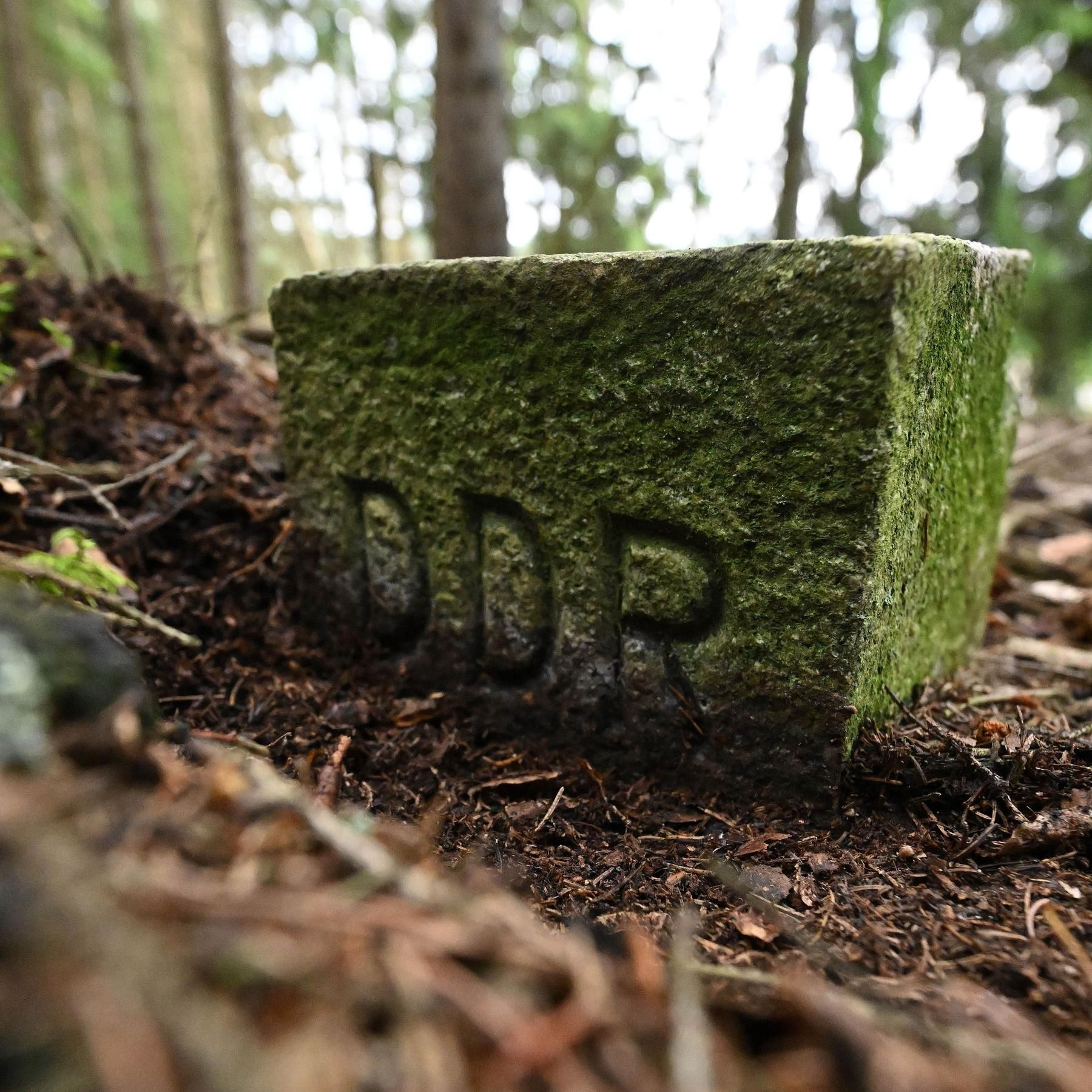 Naturschutzgroßprojekt Grünes Band Dreiländereck Bayern-Sachsen-Thüringen