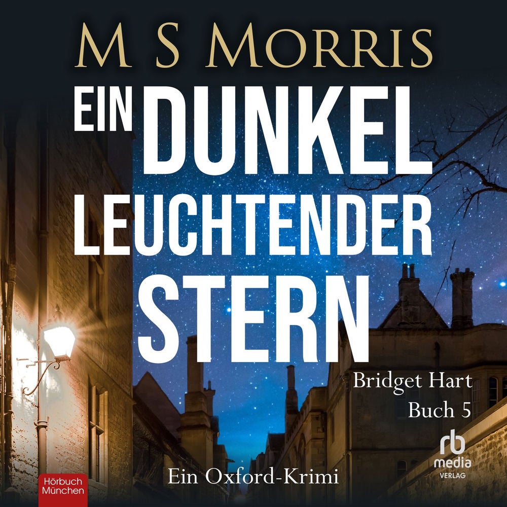Ein dunkel leuchtender Stern - Die Bridget-Hart-Reihe, Band 5