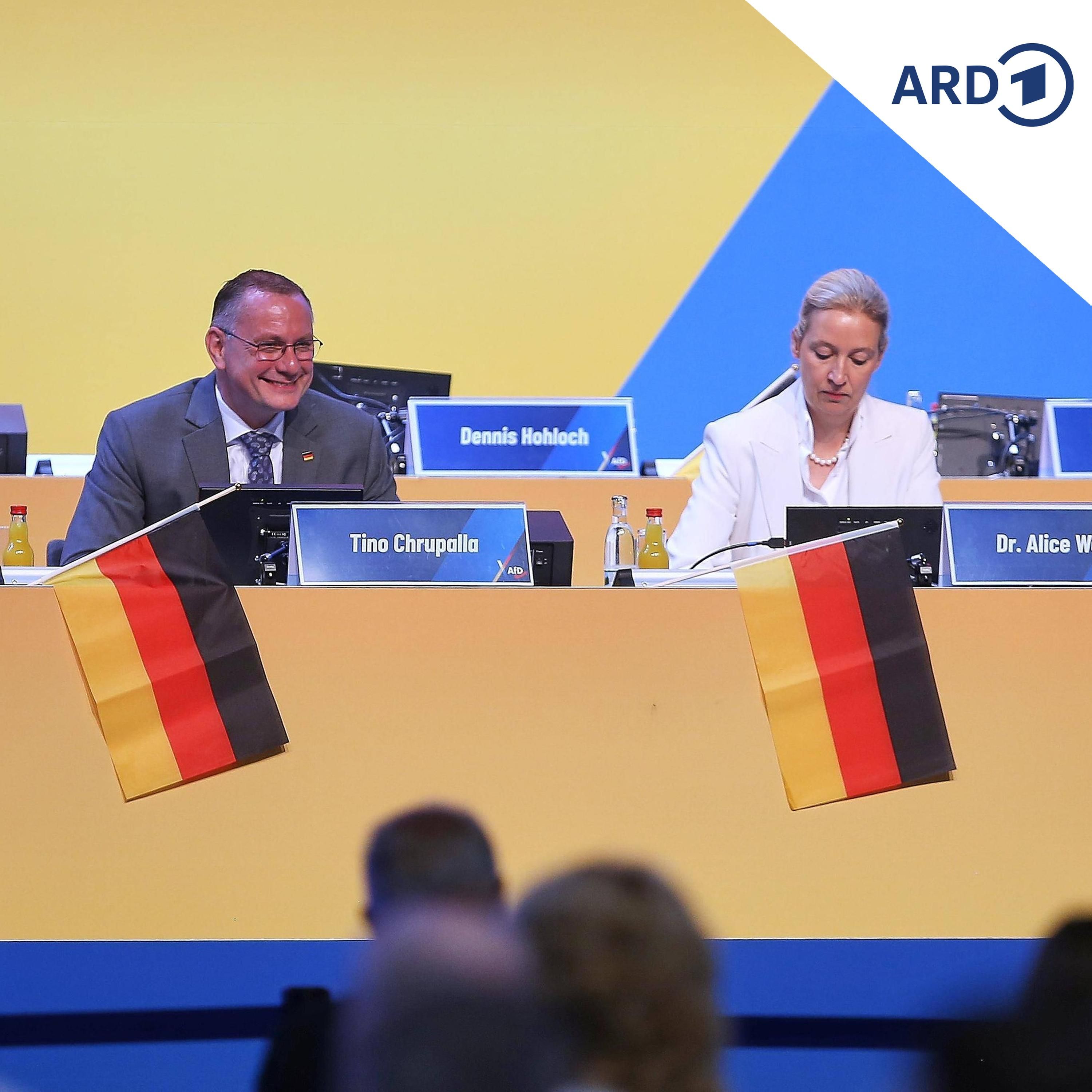 Politologe: Mitgliedereinfluss in AfD schrumpft