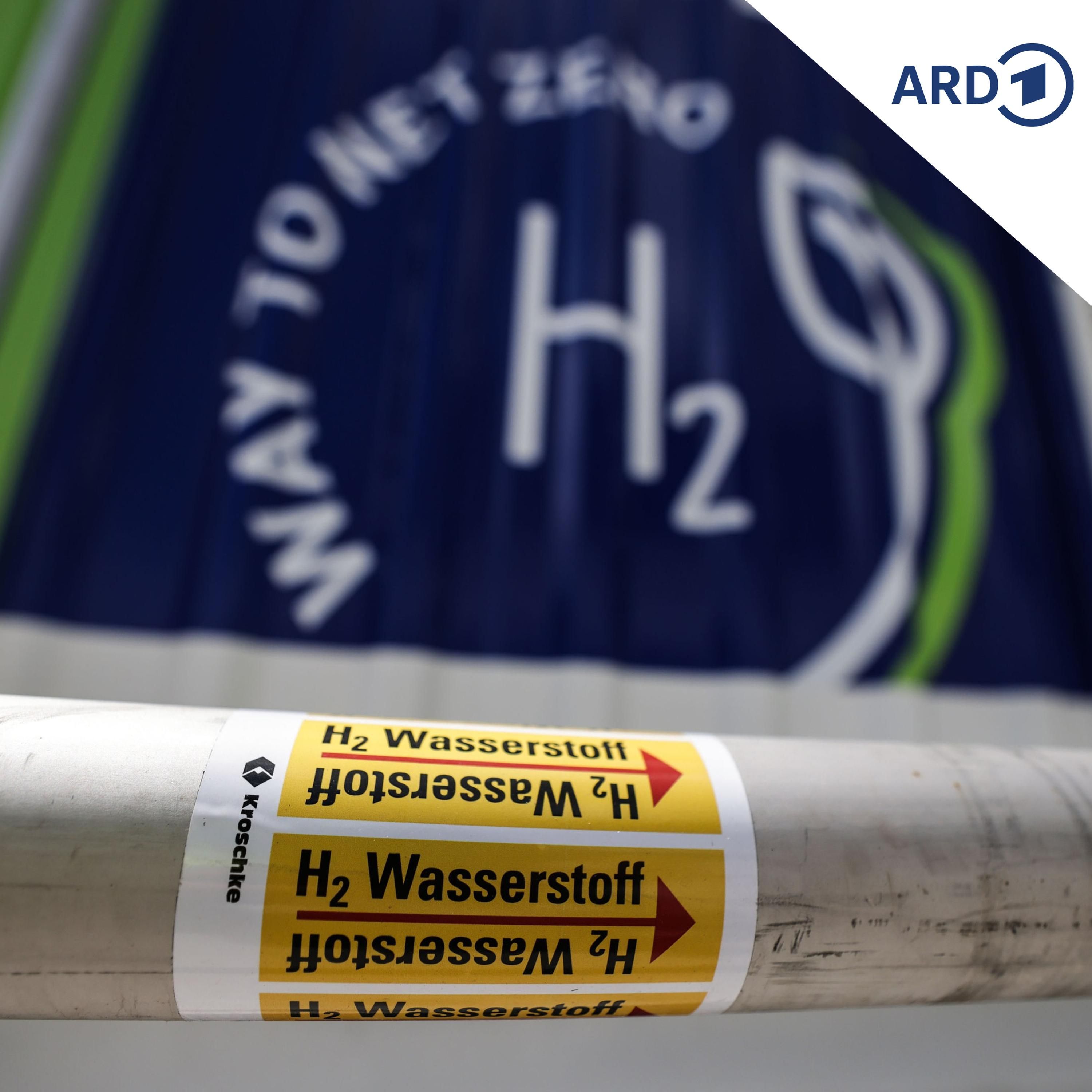 Was wurde aus der Ansiedlung des Wasserstoffhändlers Hintco?