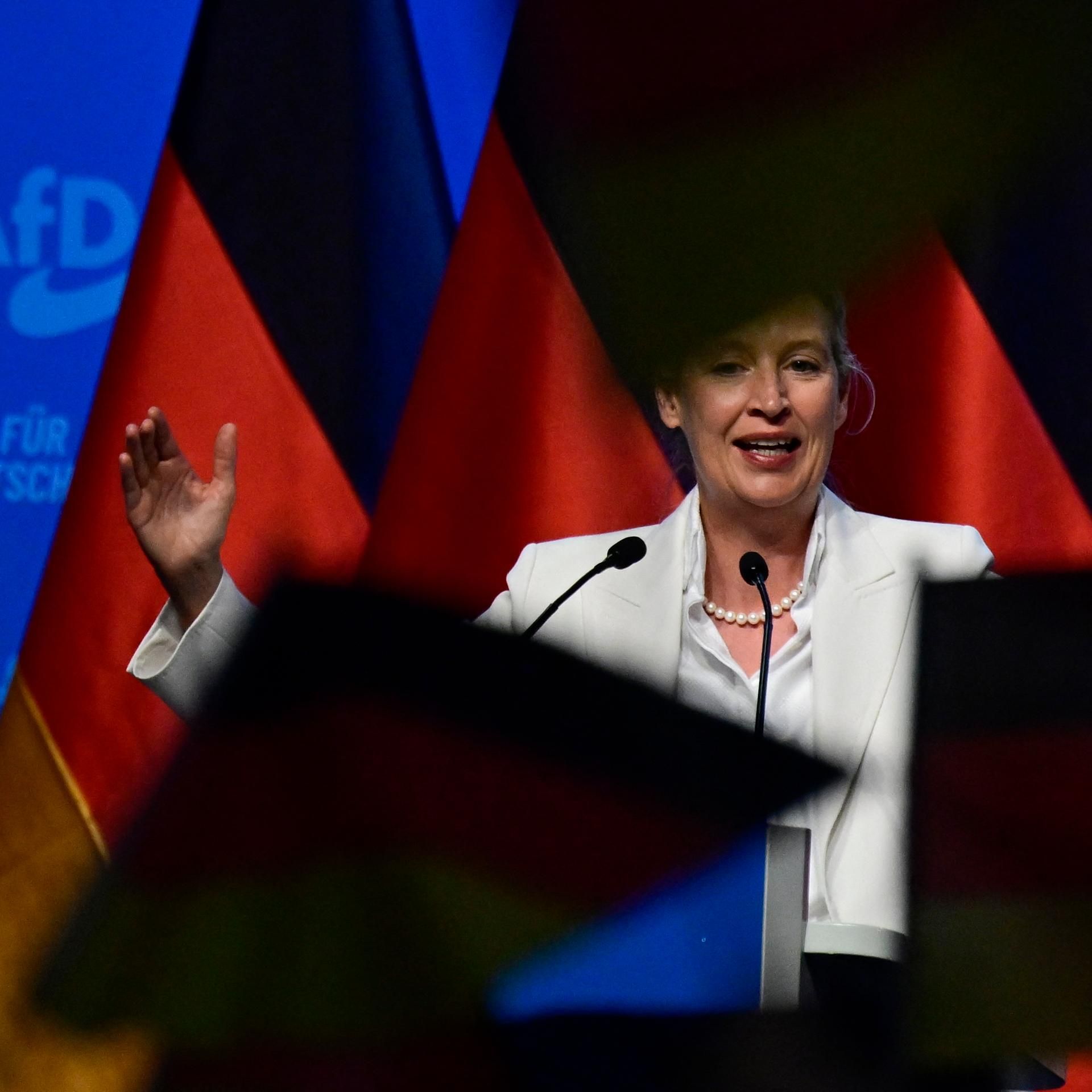 AfD-Parteitag in Erfurt - Radikale mit Machtanspruch