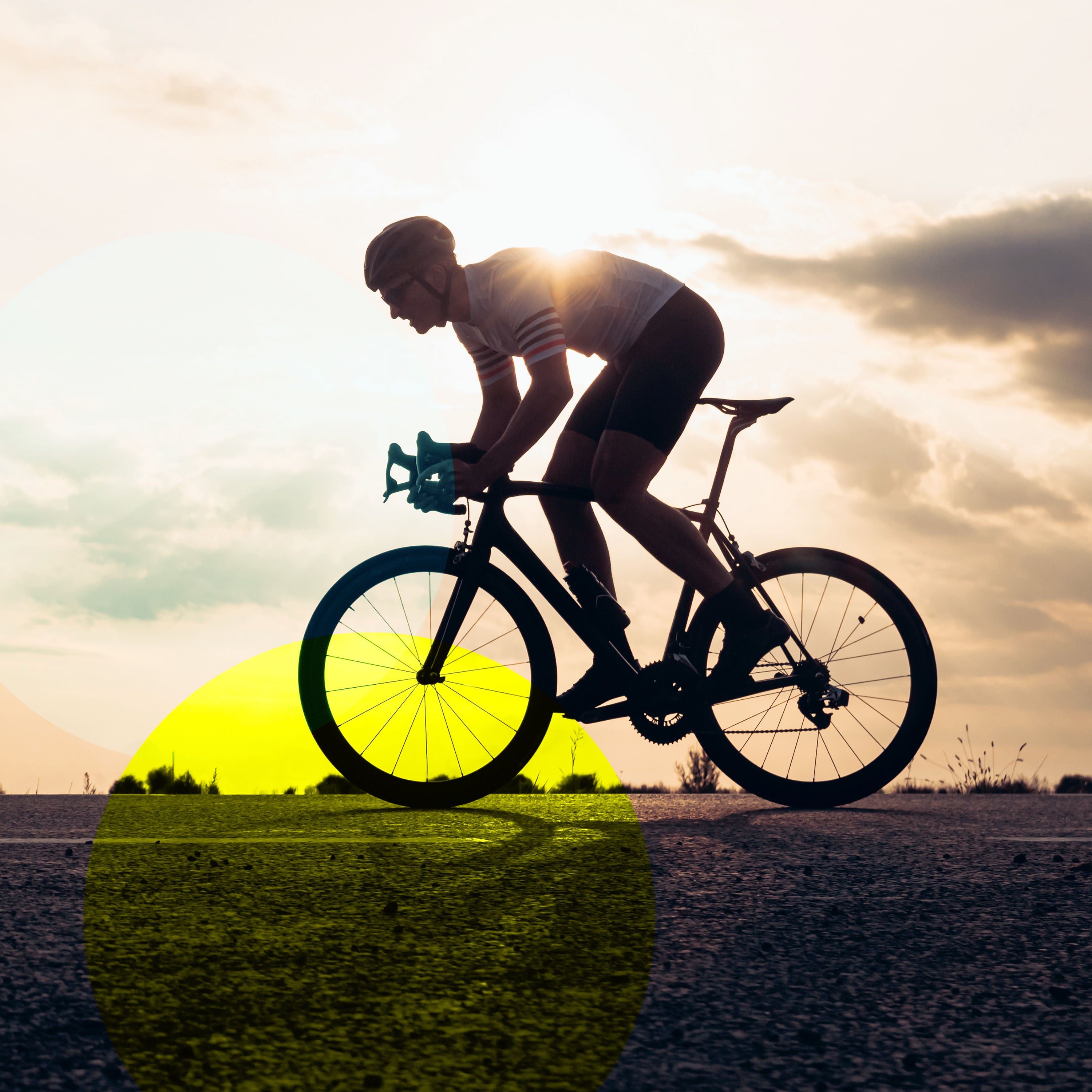 Veni, Vidi, Velo – Faszination Tour de France