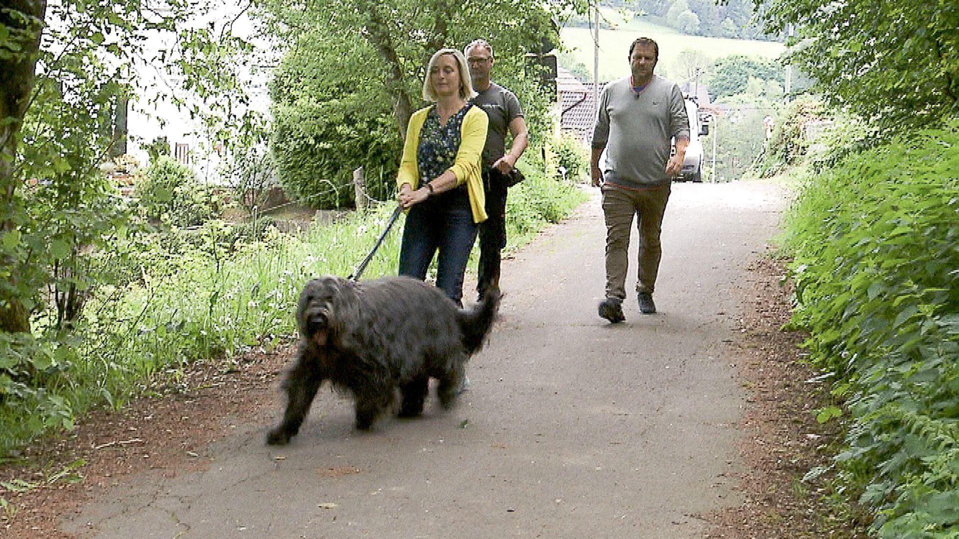Heute u. a. mit: Heike & Martin mit Briard Poldi
