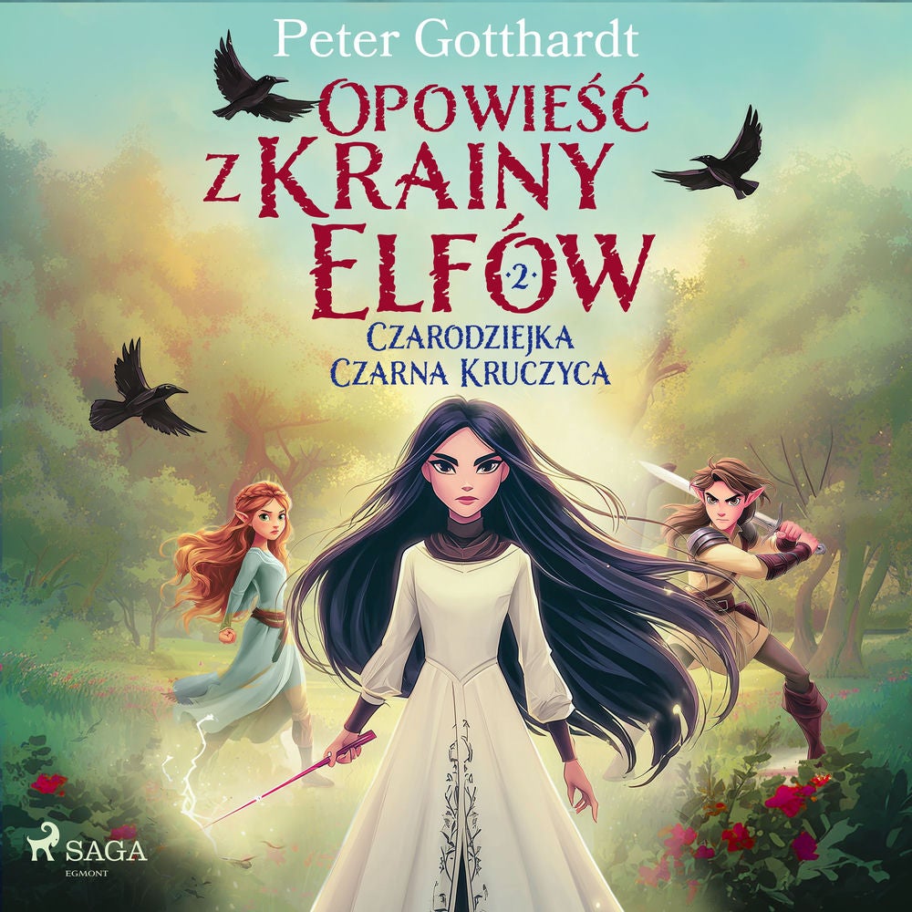 Opowieść z Krainy Elfów 2 – Czarodziejka Czarna Kruczyca