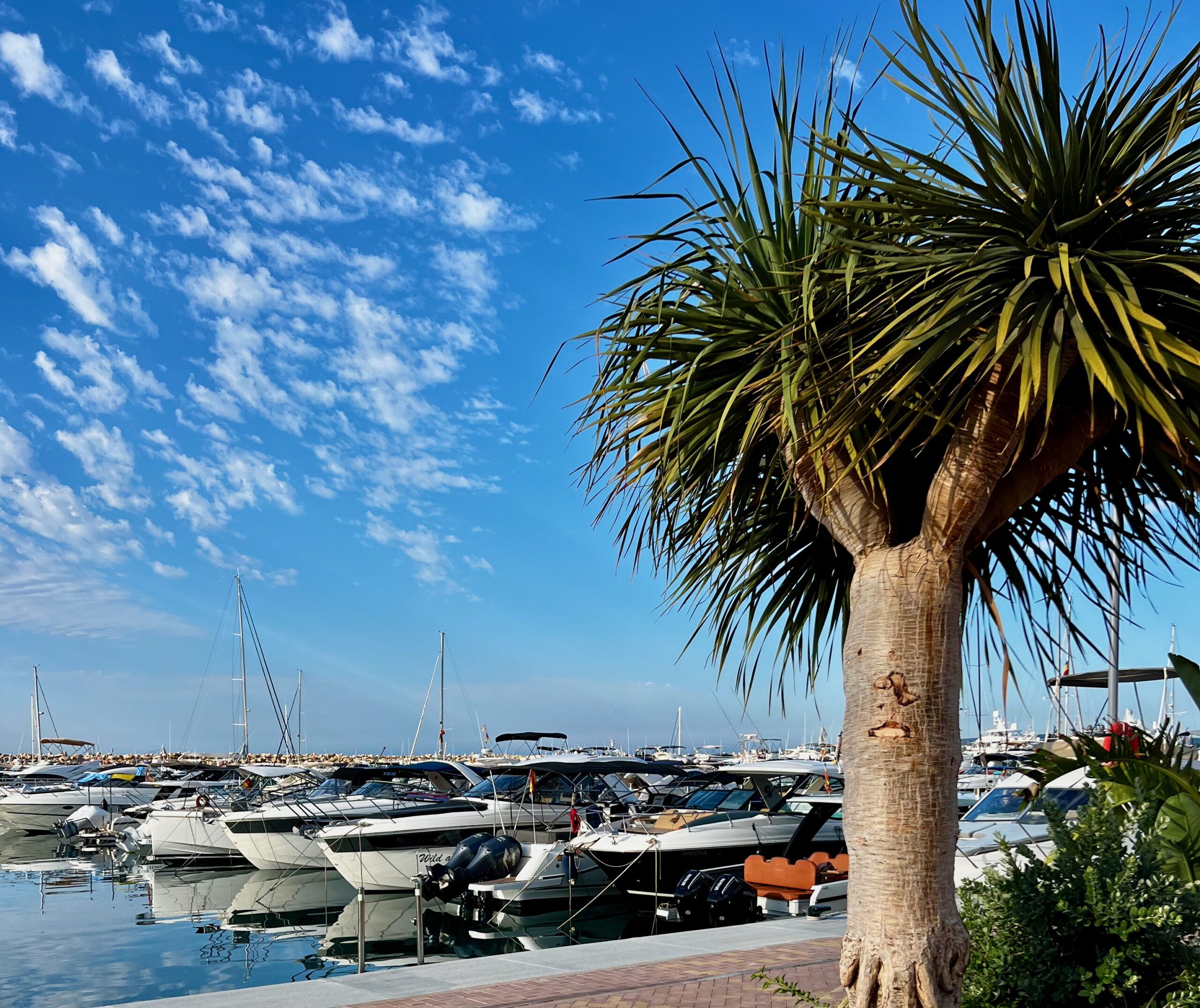 5 Minuten Mallorca | Nachrichten am 7. Juli 2026