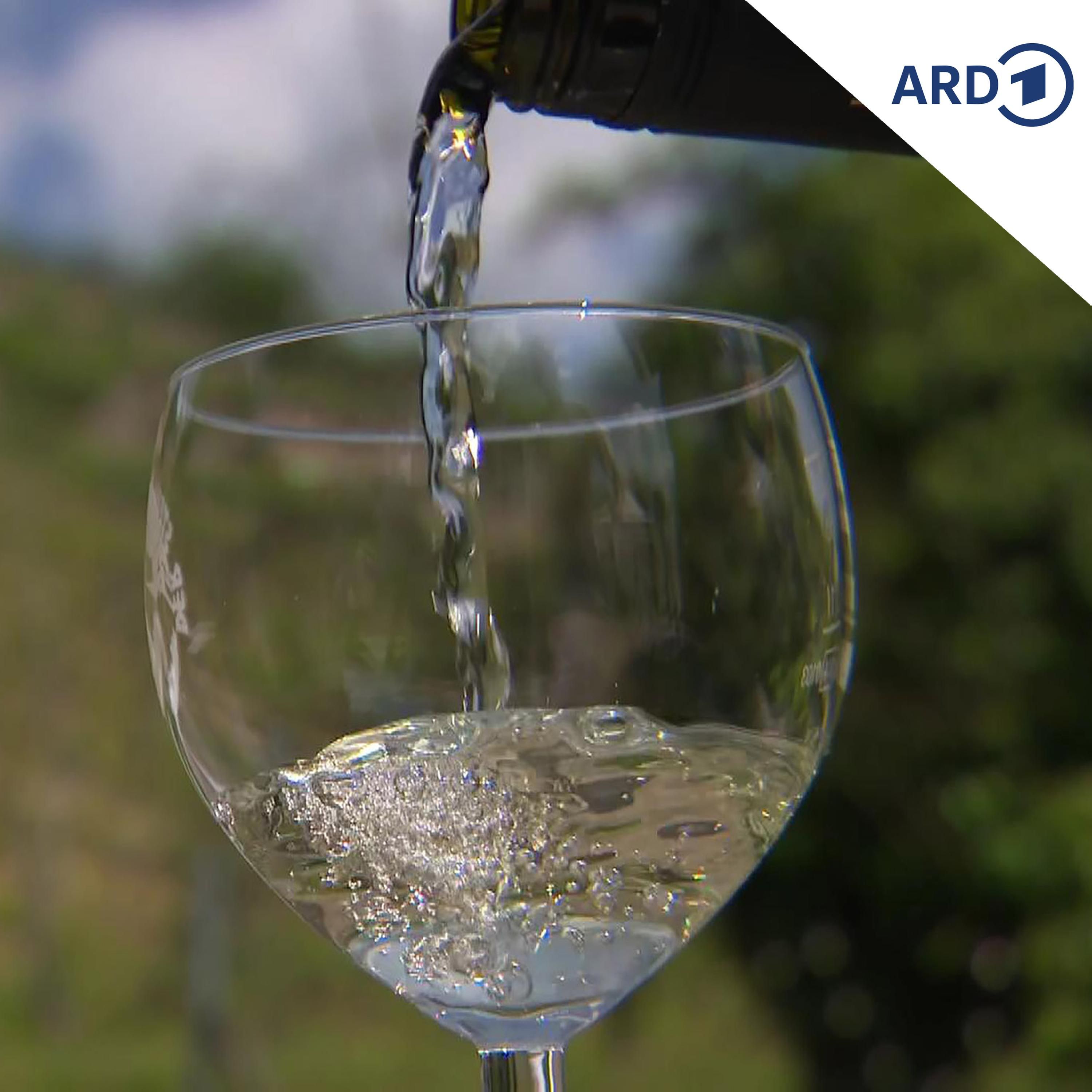 Alkoholsteuerreform: Mediziner gegen Ausnahmen
