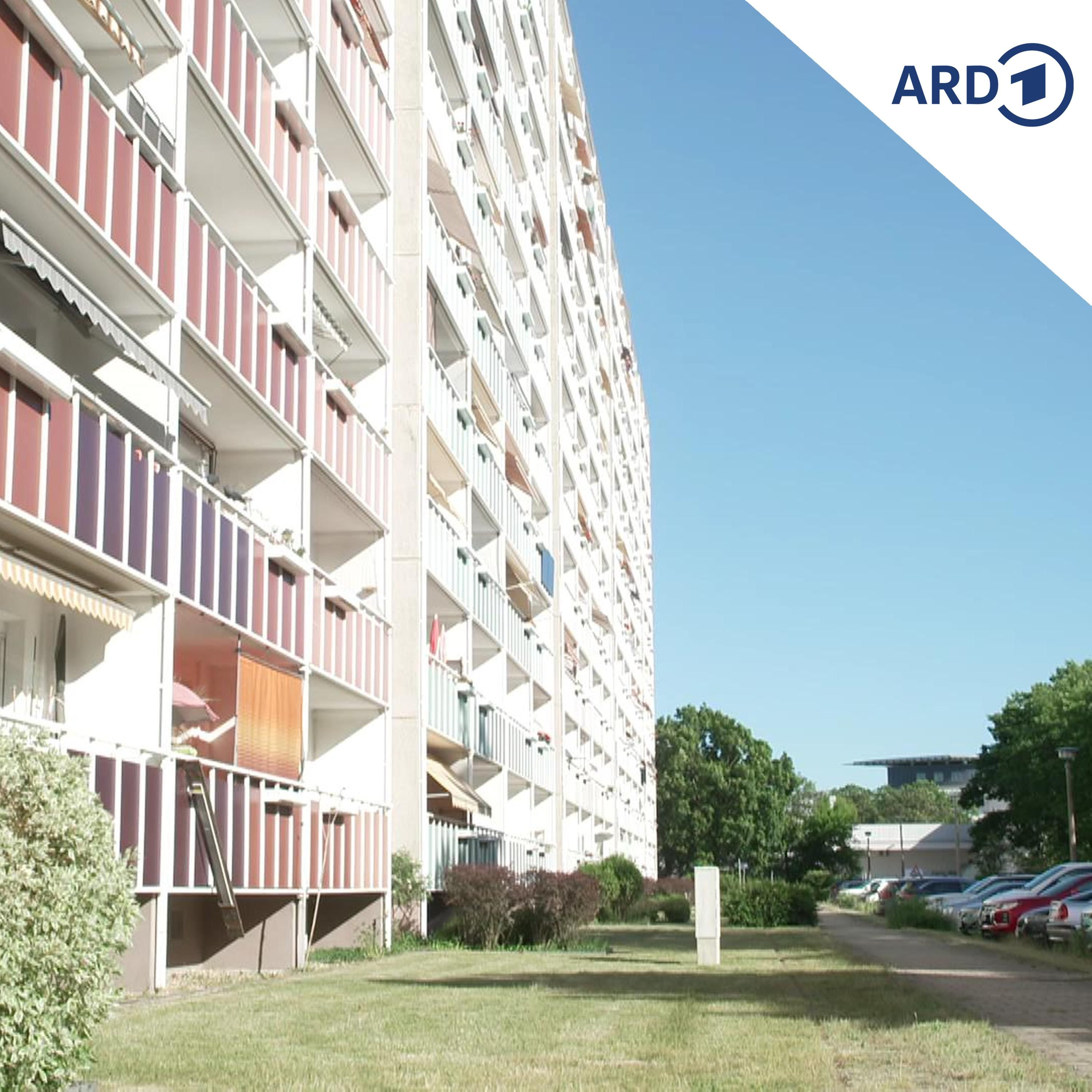 Wie sich eine Wohnungsgenossenschaft in die Zukunft rettet