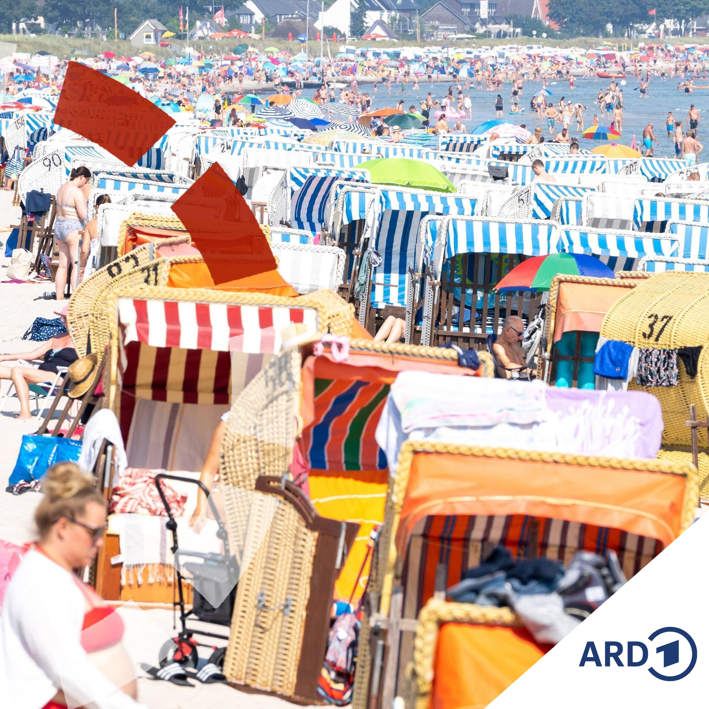 Sommer, Sonne, ausgebucht? Was ihr zur Urlaubssaison wissen müsst