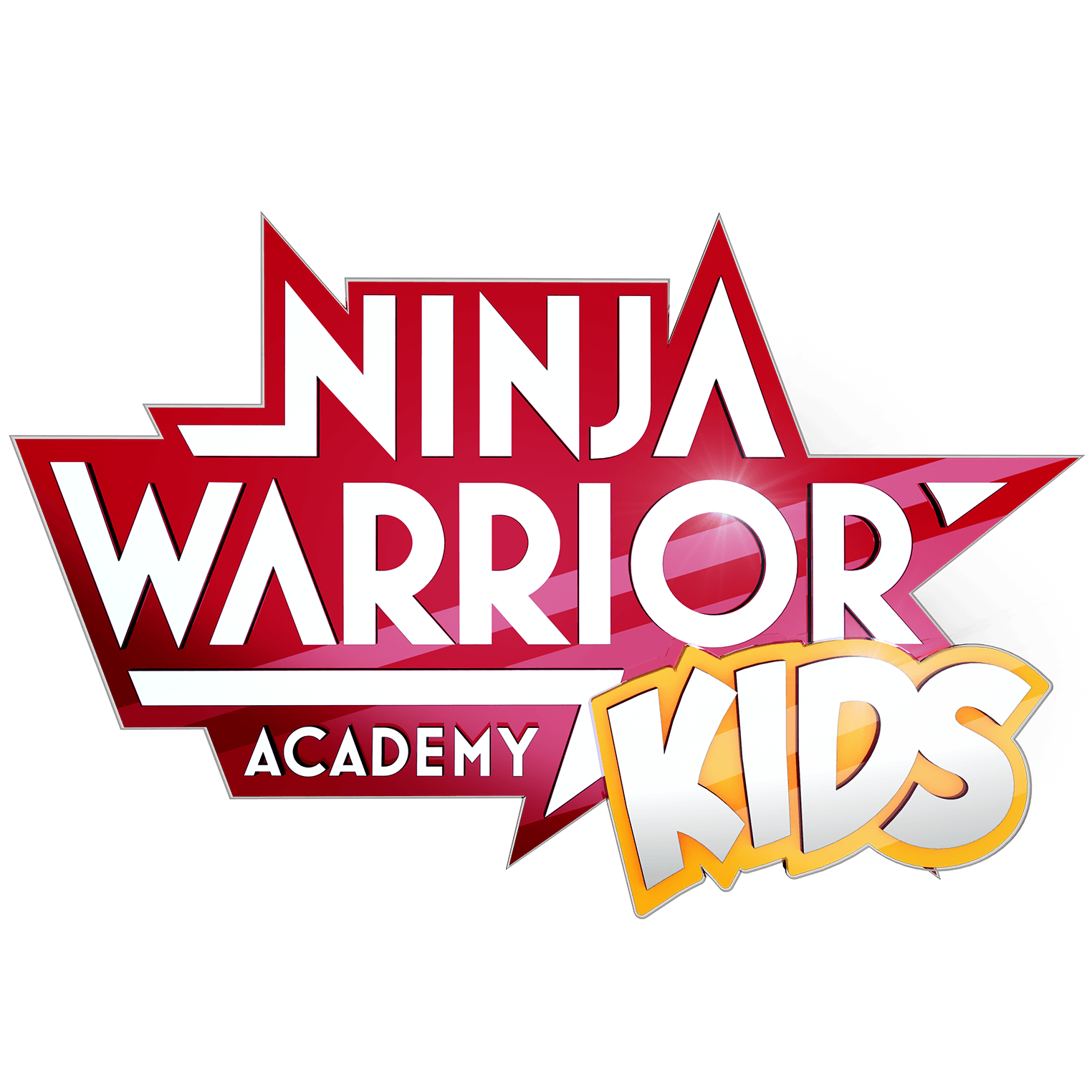 Ninja Warrior Germany Kids Academy