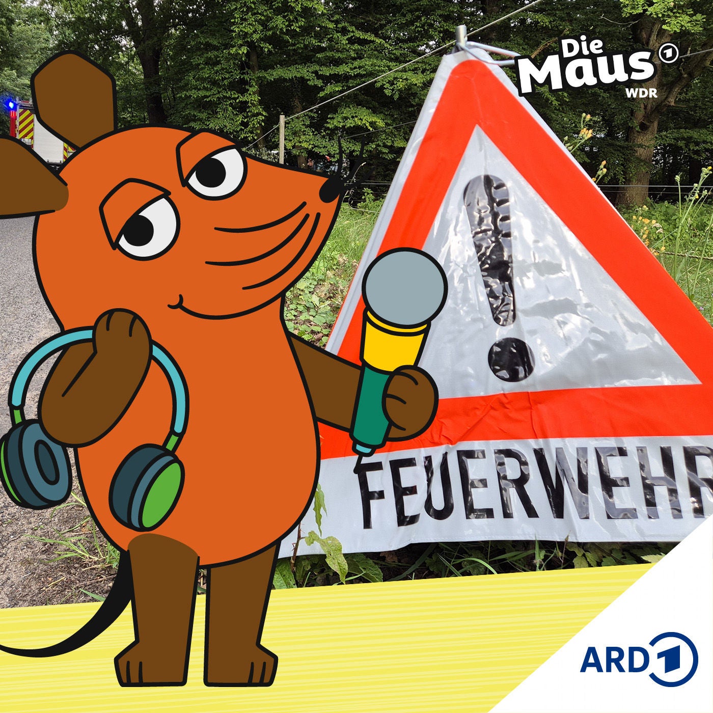 Feuer-Alarm im Wald