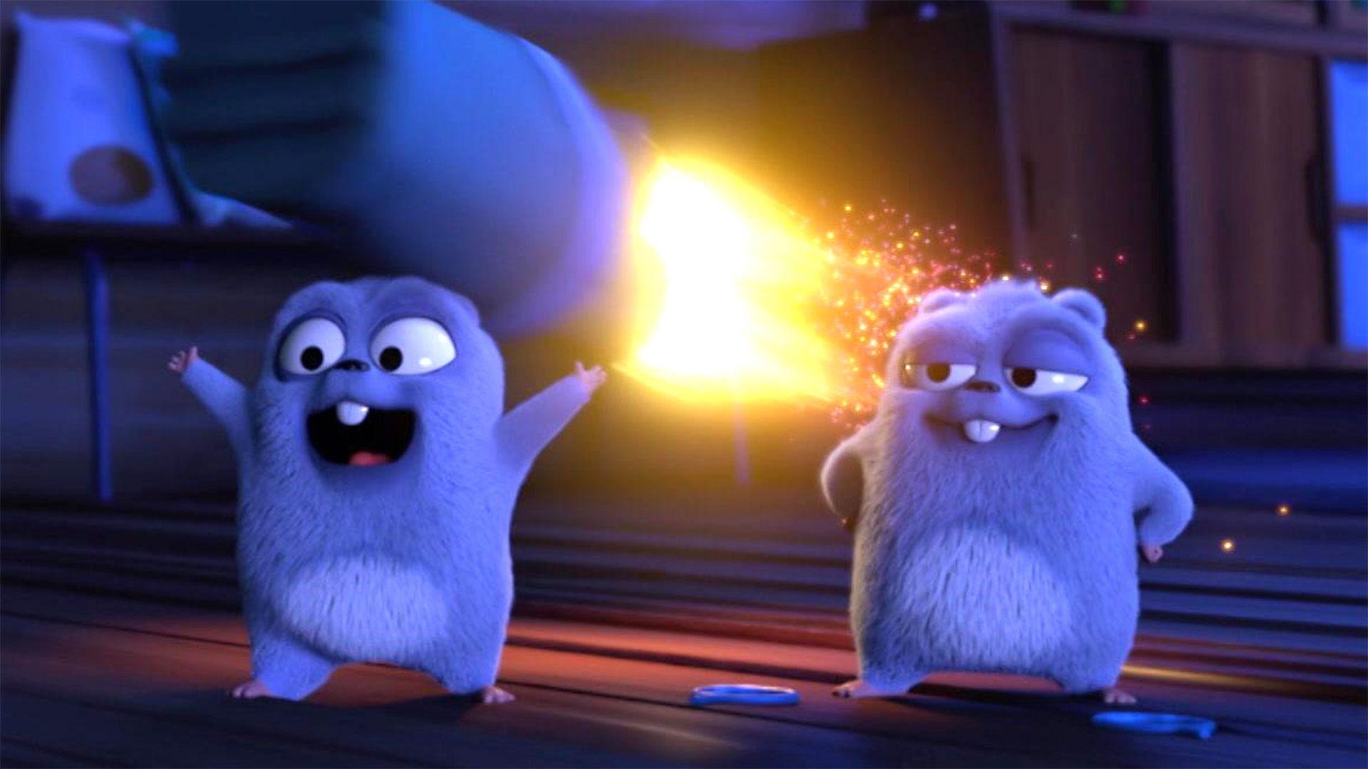 Feuerwerk in der Hütte