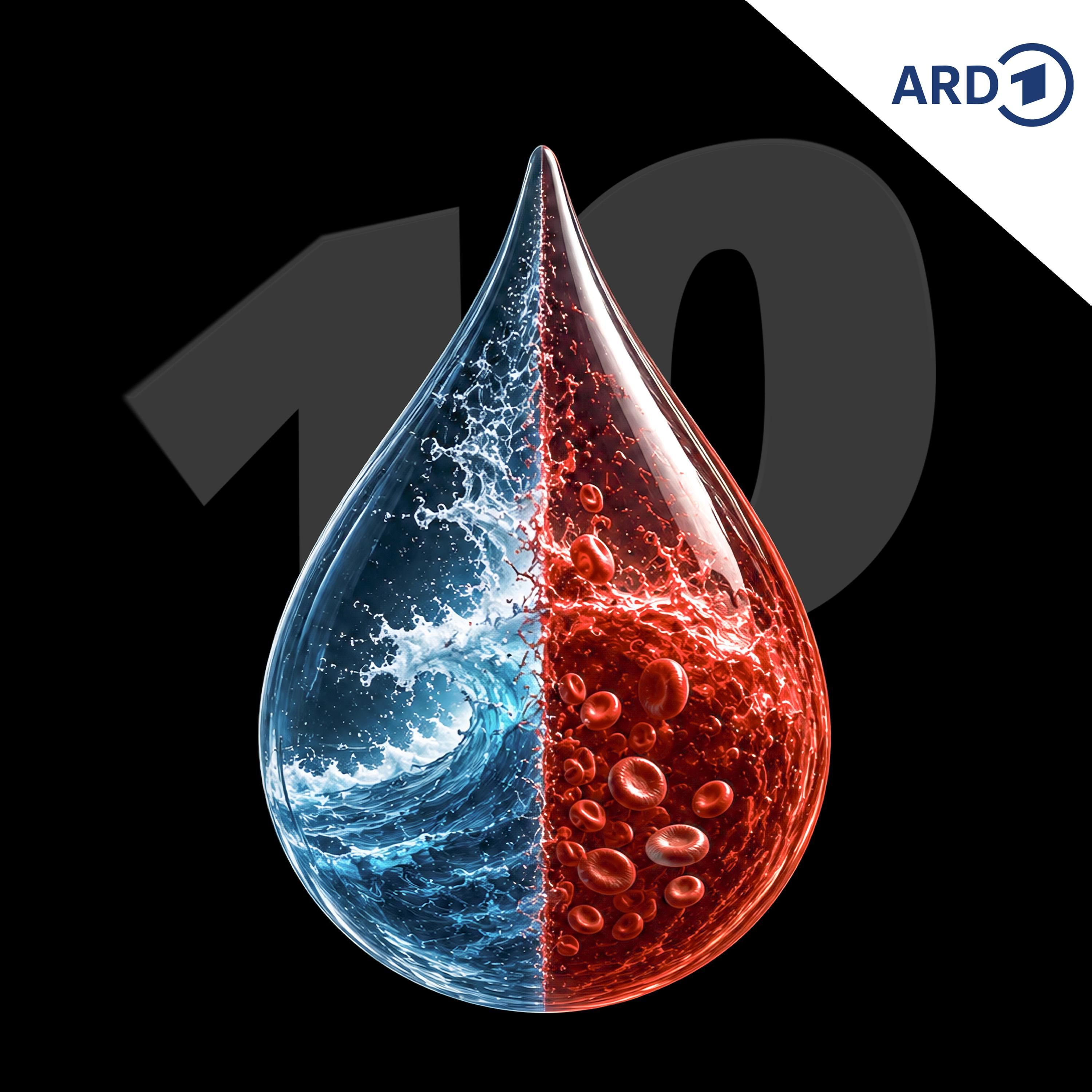 Wie ist unser Blut enstanden?