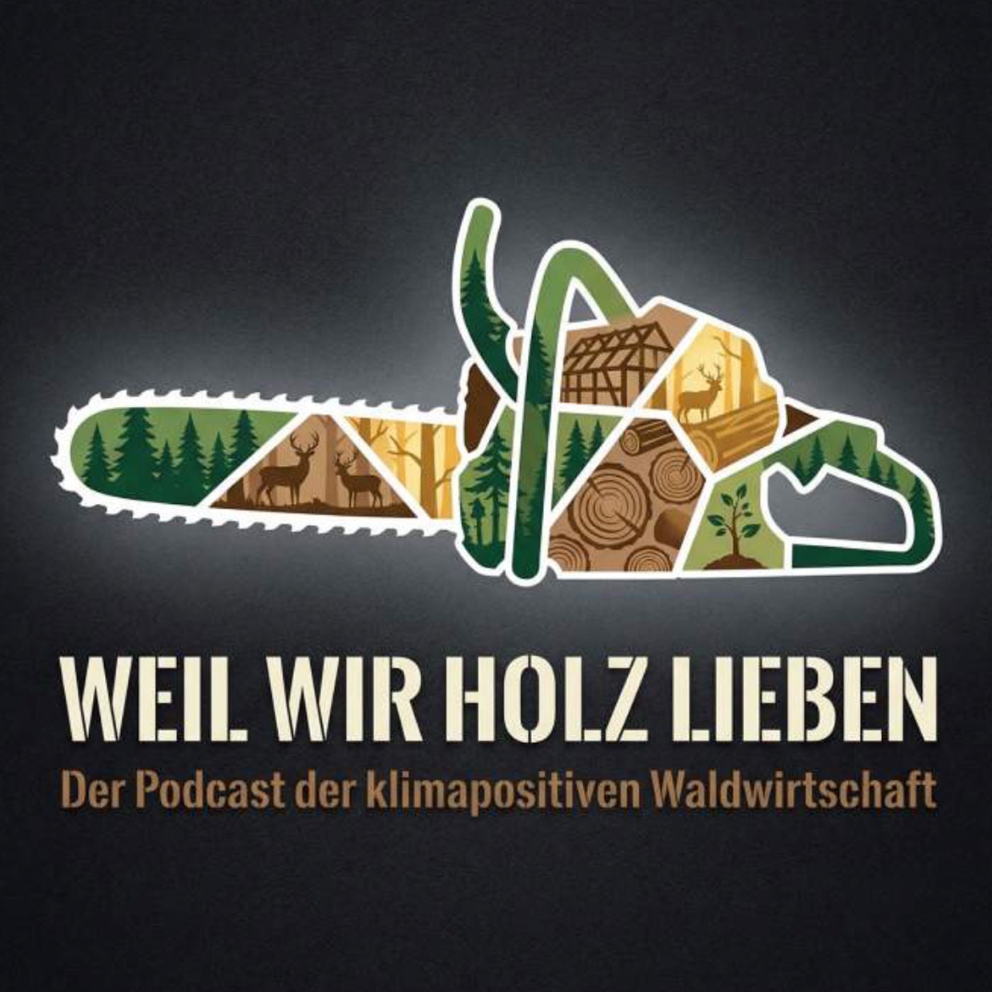 Wald im Wandel: Adrian Sonder über Verantwortung, Vertrauen und klimapositive Waldwirtschaft