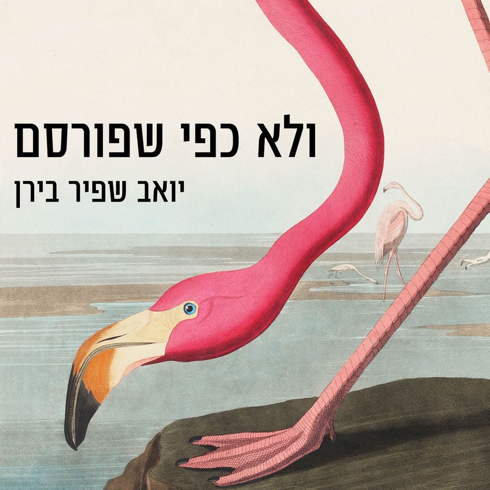 ולא כפי שפורסם
