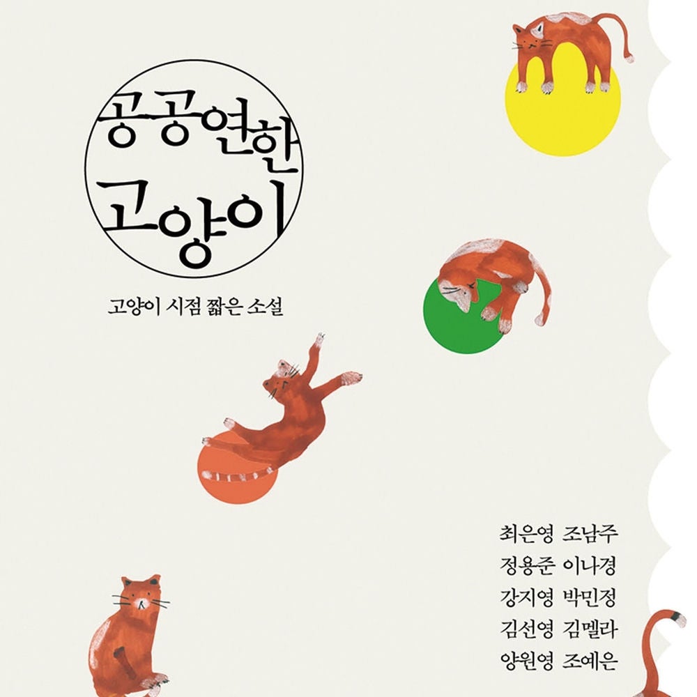 공공연한 고양이