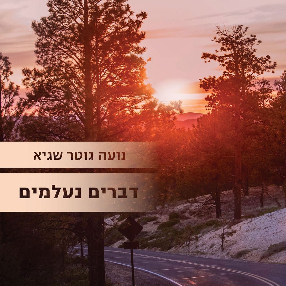 דברים נעלמים