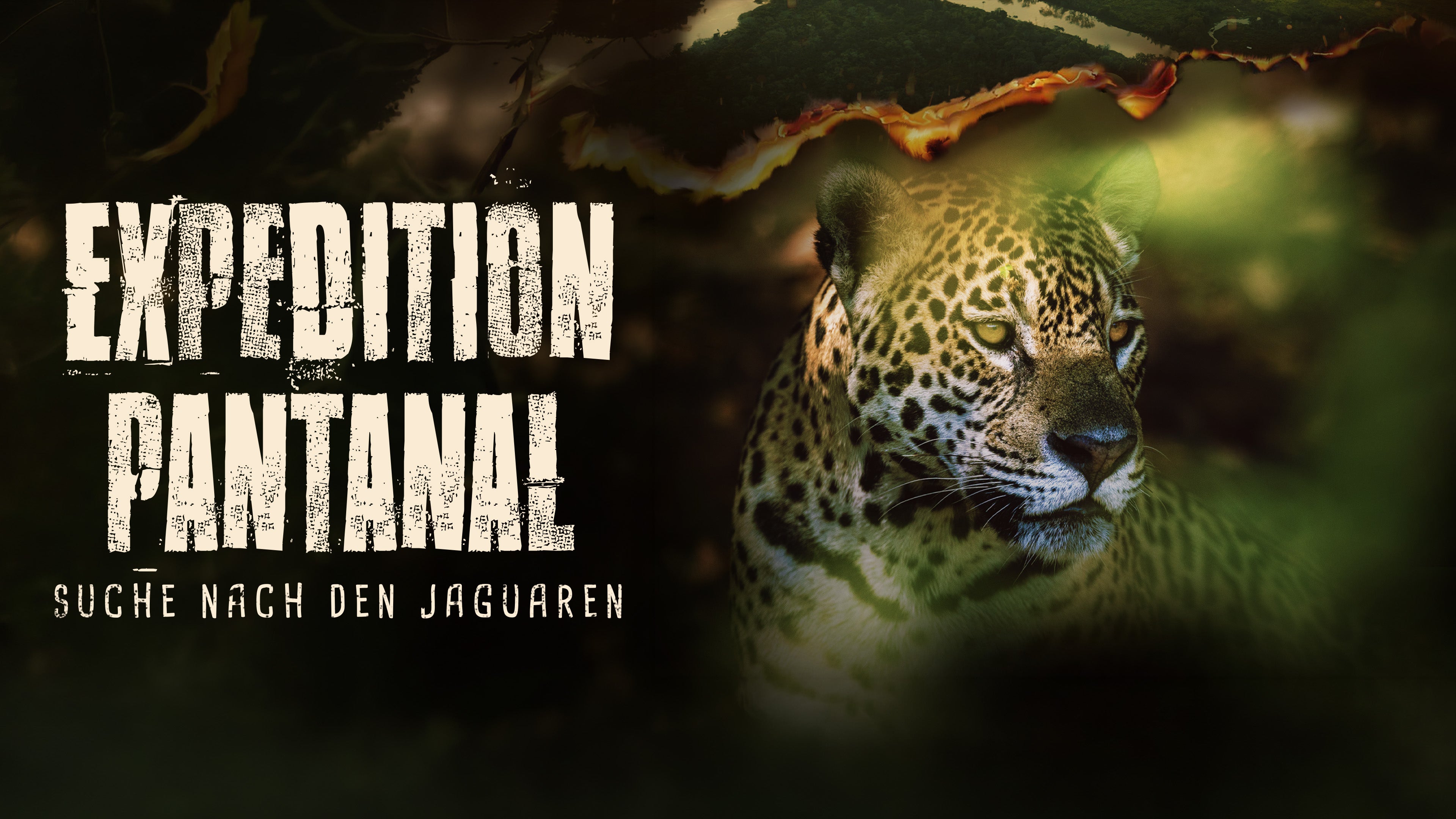 Expedition Pantanal - Suche nach den Jaguaren