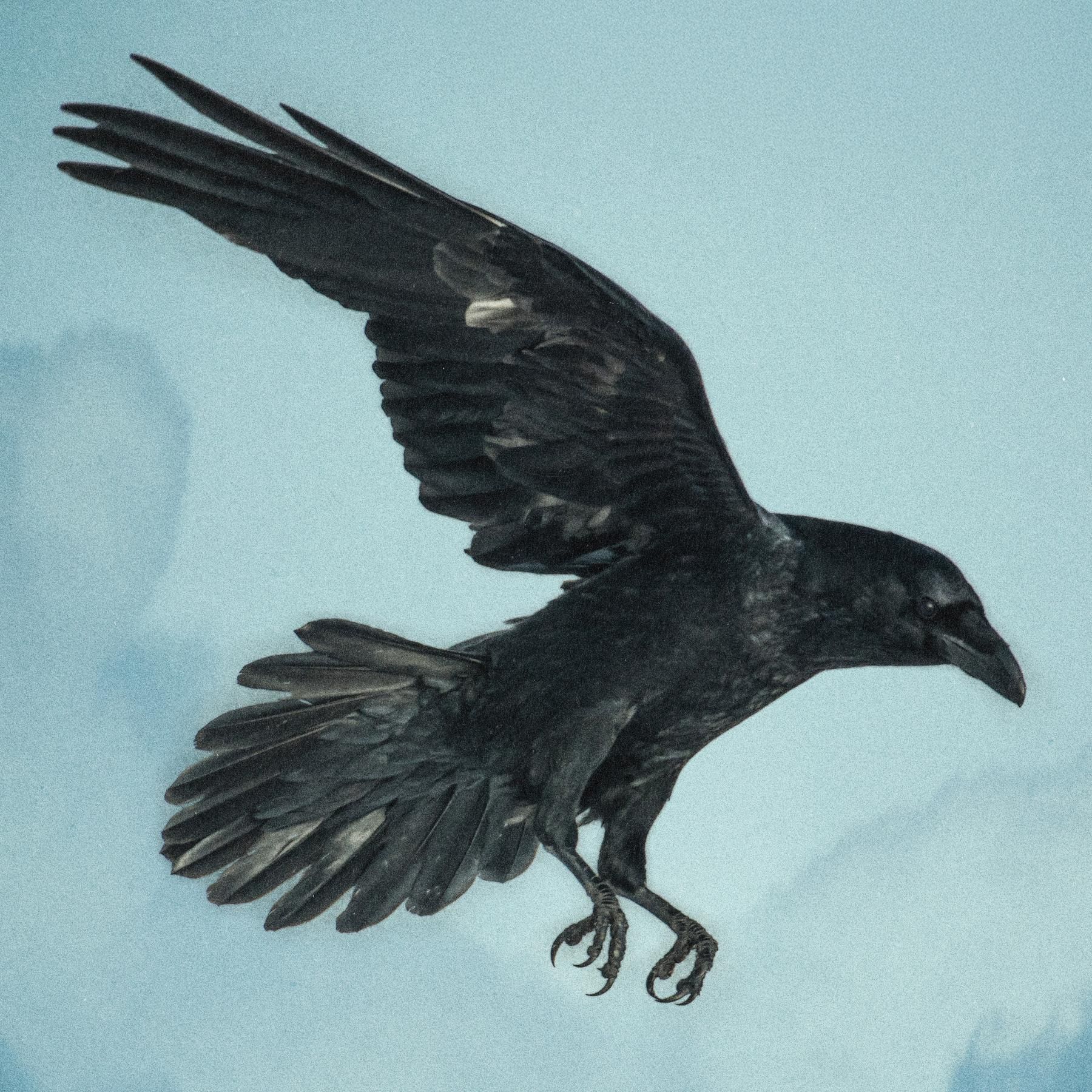 Die Hexe von Pendach (4/8): Der Pakt