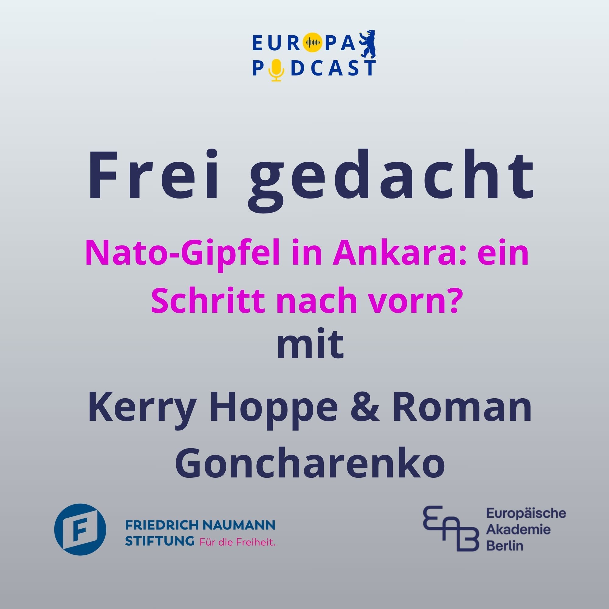 Frei gedacht: NATO-Gipfel in Ankara - Wird Europa endlich verteidigungsfähig?