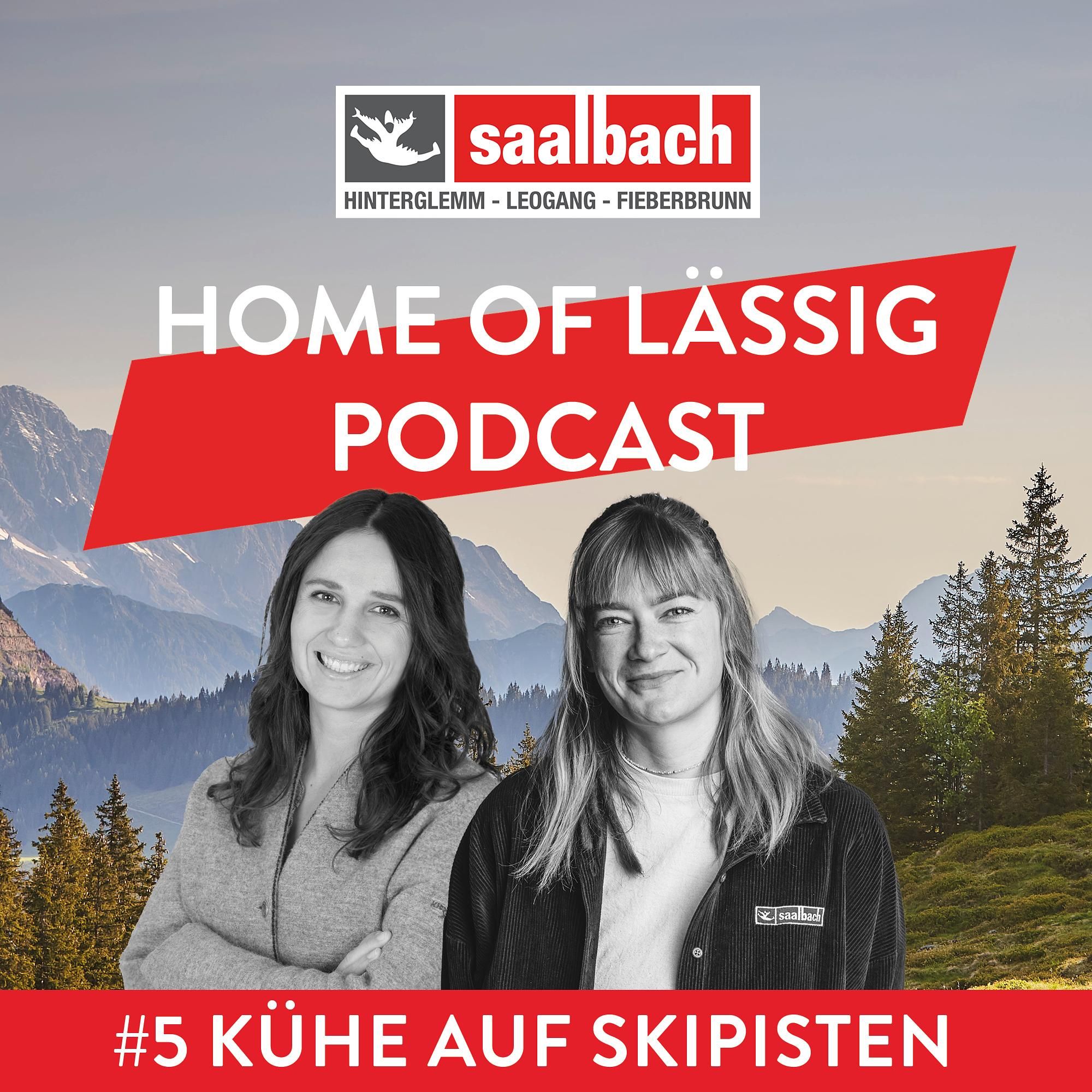 #5 Kühe auf Skipisten