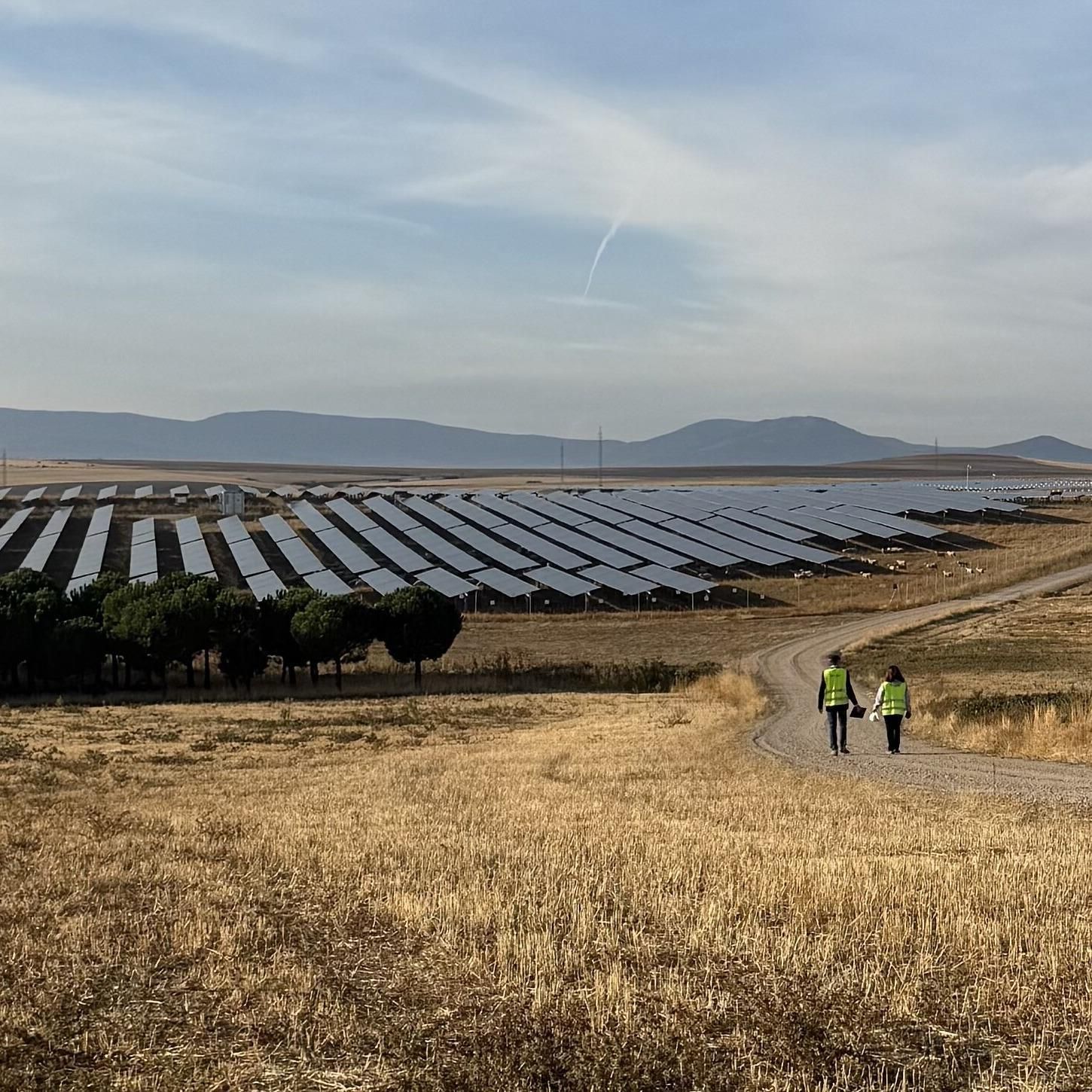 "Mit einem Auto fährt man eine halbe Stunde durch unser Solarkraftwerk" | Andreas Schell (ib vogt)