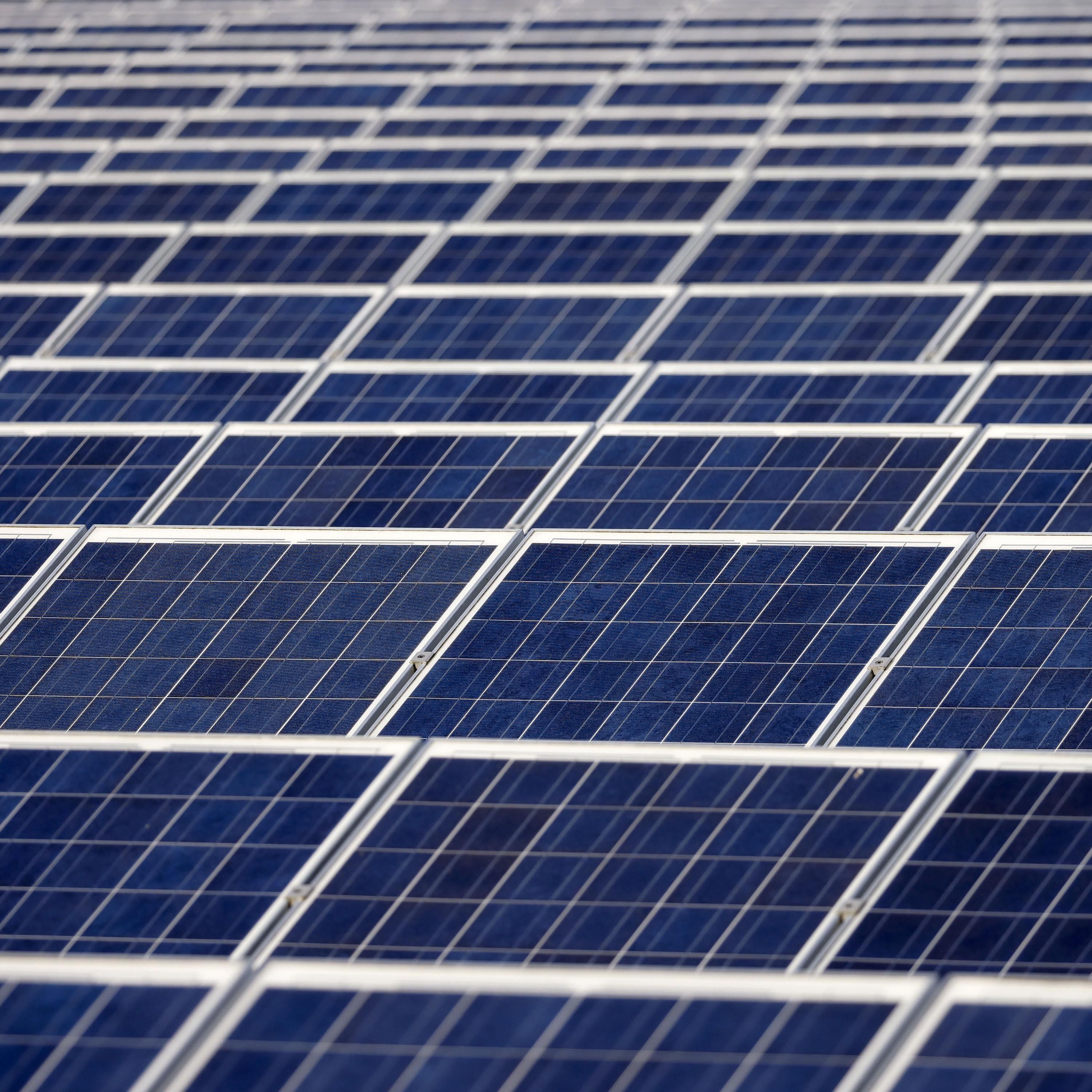 Solarindustrie? "Ohne China ist die Energiewende gestorben"