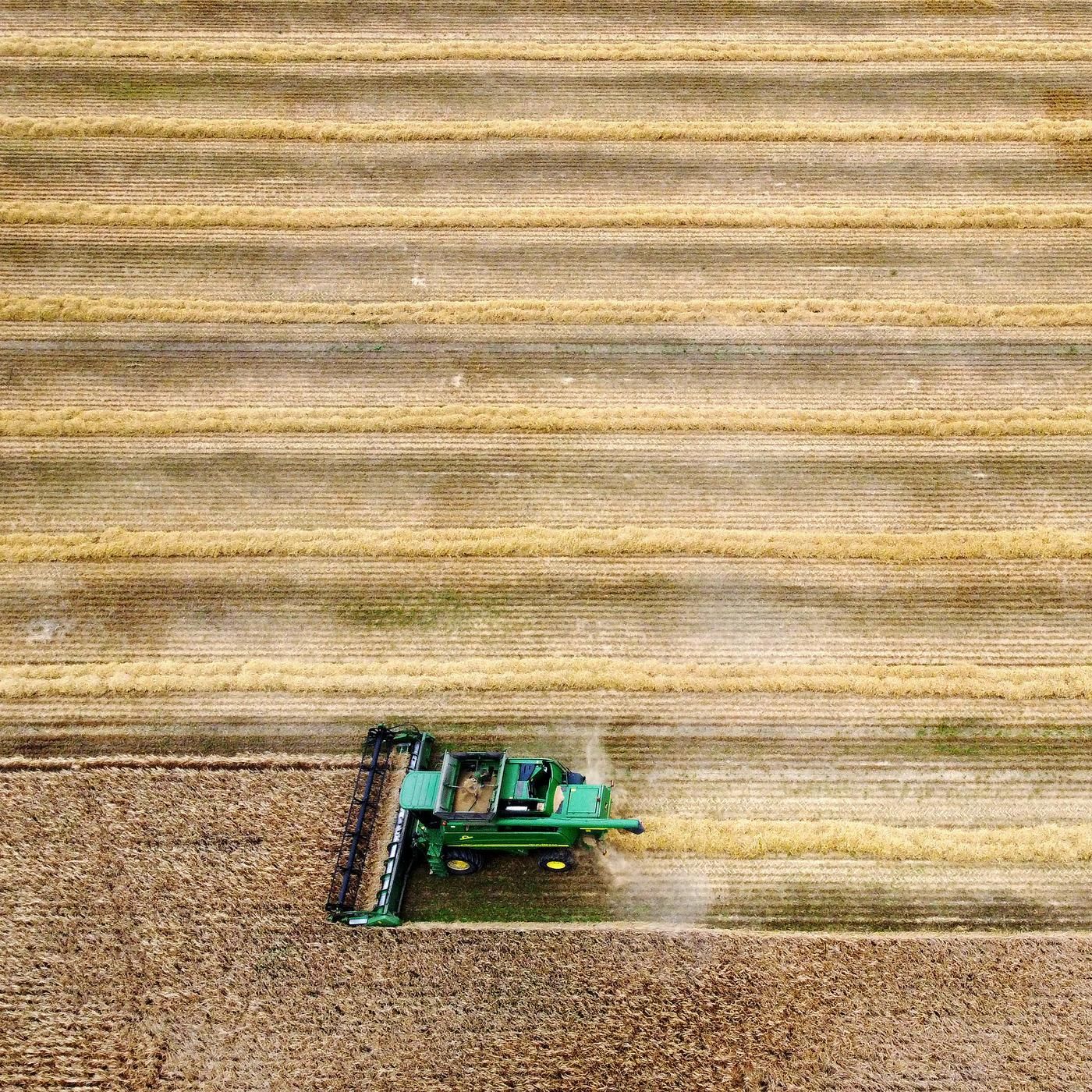 Regenerative Landwirtschaft? "Viel Unwissenheit, wie es funktioniert"