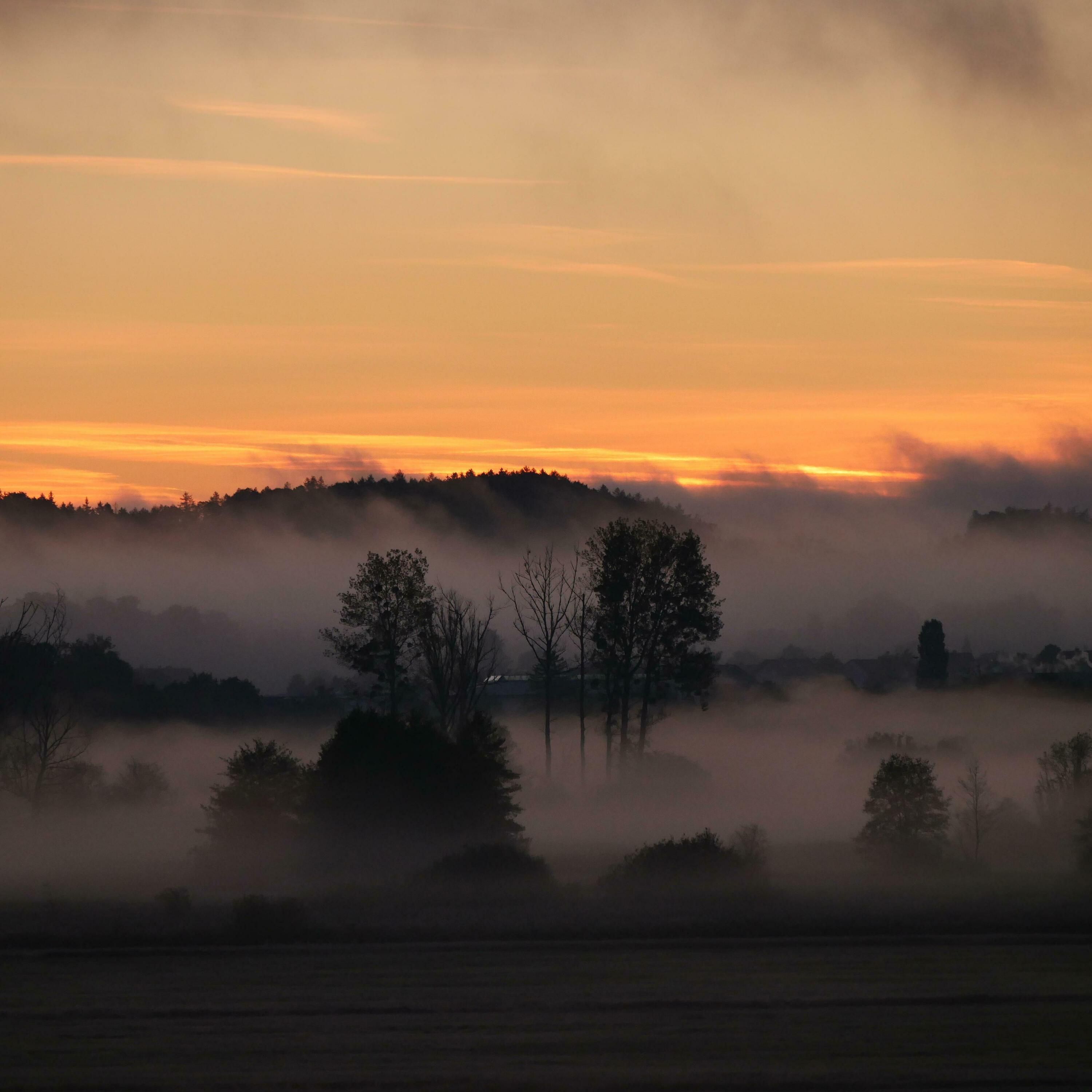 Moore? Unsichtbare Superhelden der Natur