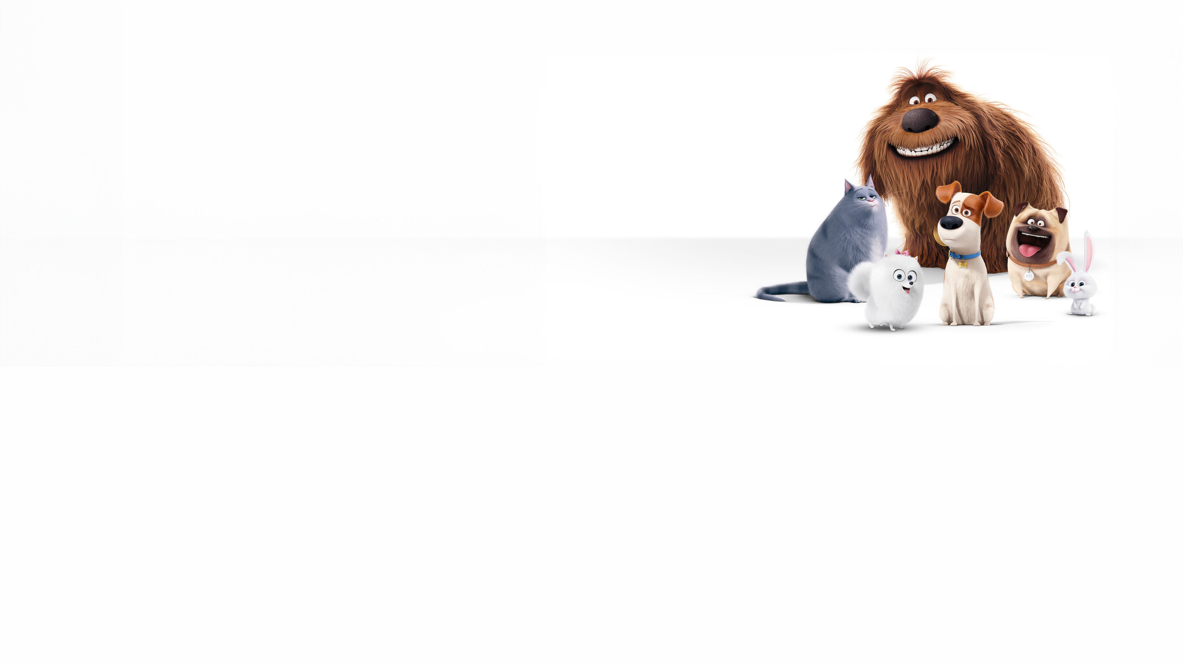 Pets