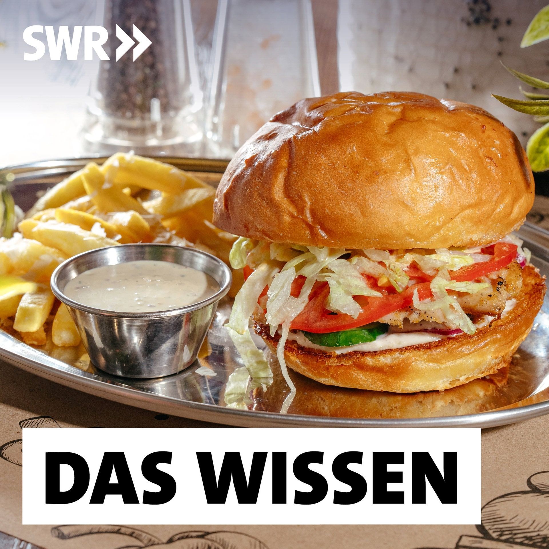 Wie krank macht Fast Food? – Hochverarbeitete Lebensmittel in der Kritik