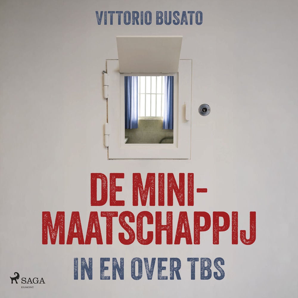 De minimaatschappij: In en over TBS