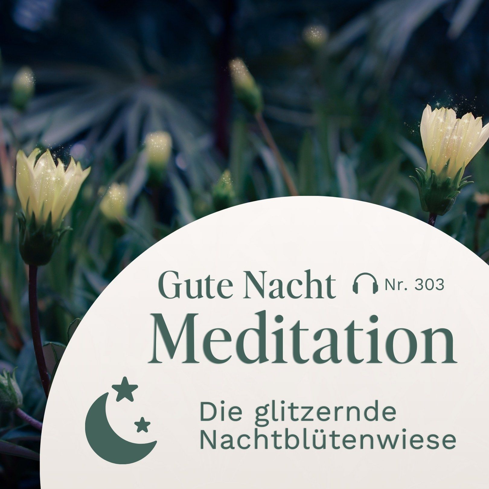 Gute Nacht Meditation zum Einschlafen // Die glitzernde Nachtblütenwiese