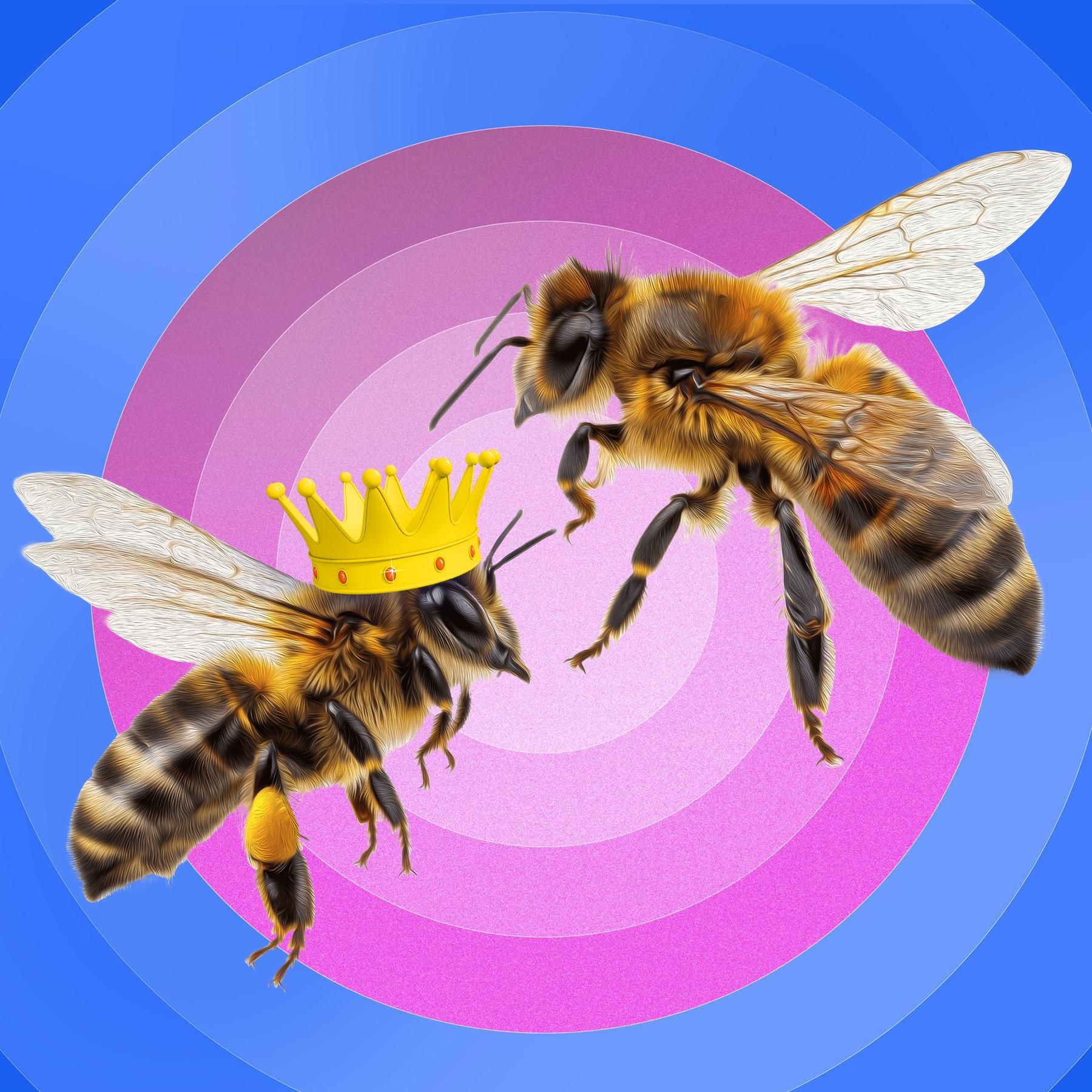Bienen – Summt die Honigbiene auch im Dirndl? (10/12)