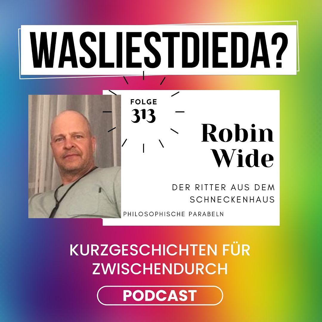 313 Der Ritter aus dem Schneckenhaus - Robin Wide