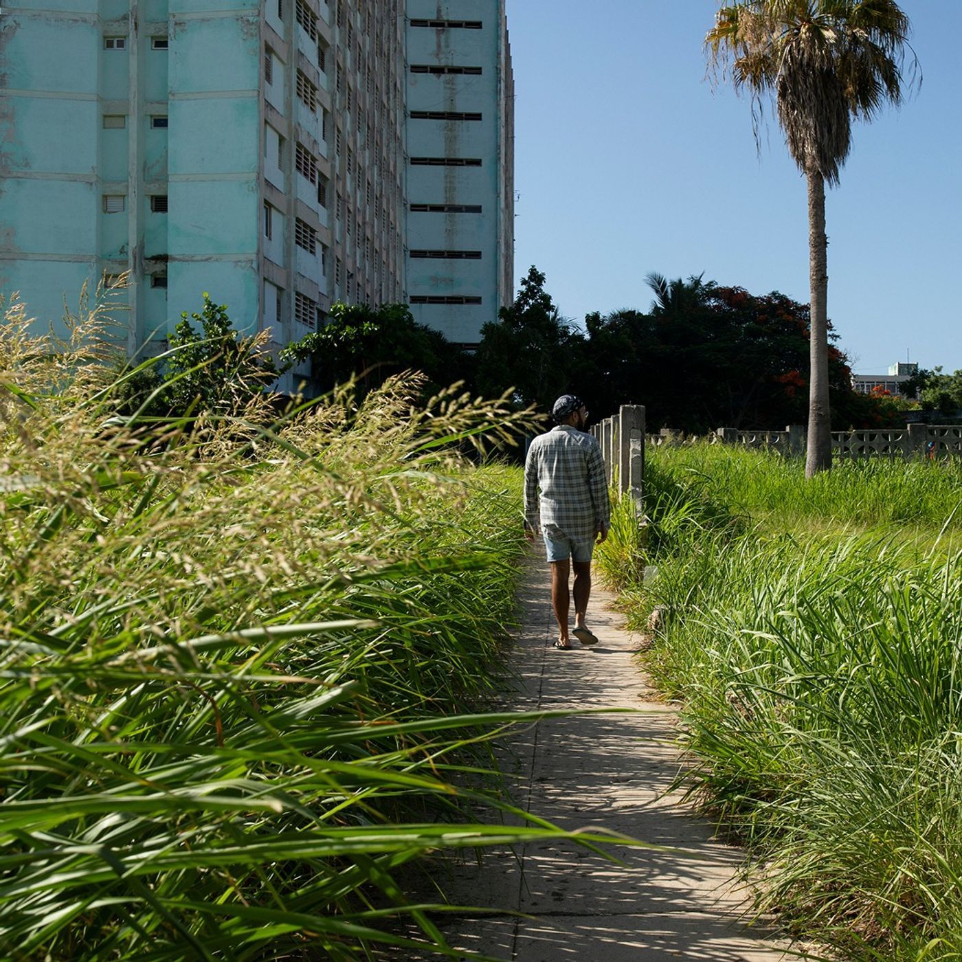 Cuba Under Siege