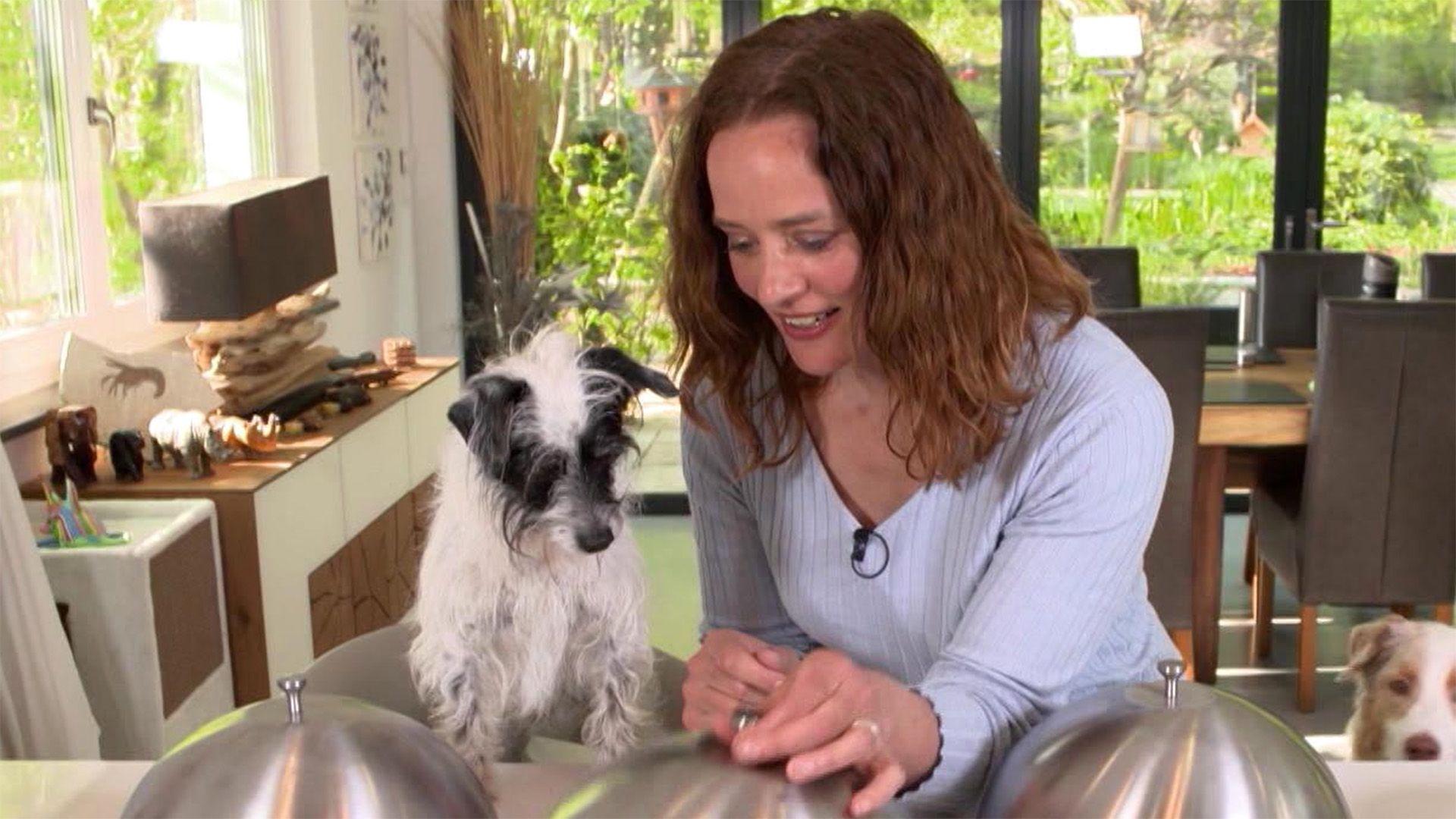 Heute u. a.: Tipps für eine abwechslungsreiche Hundeernährung