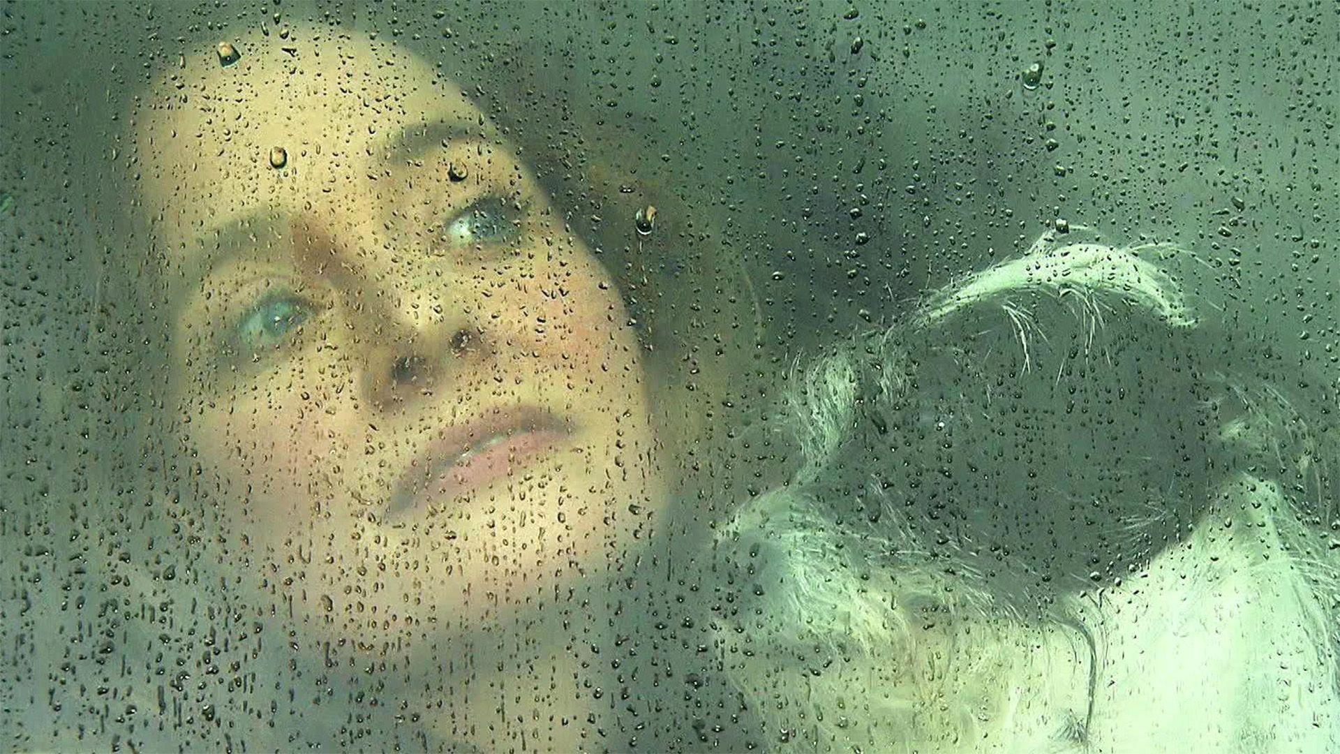 Ideen für Hundeauslastung bei schlechtem Wetter