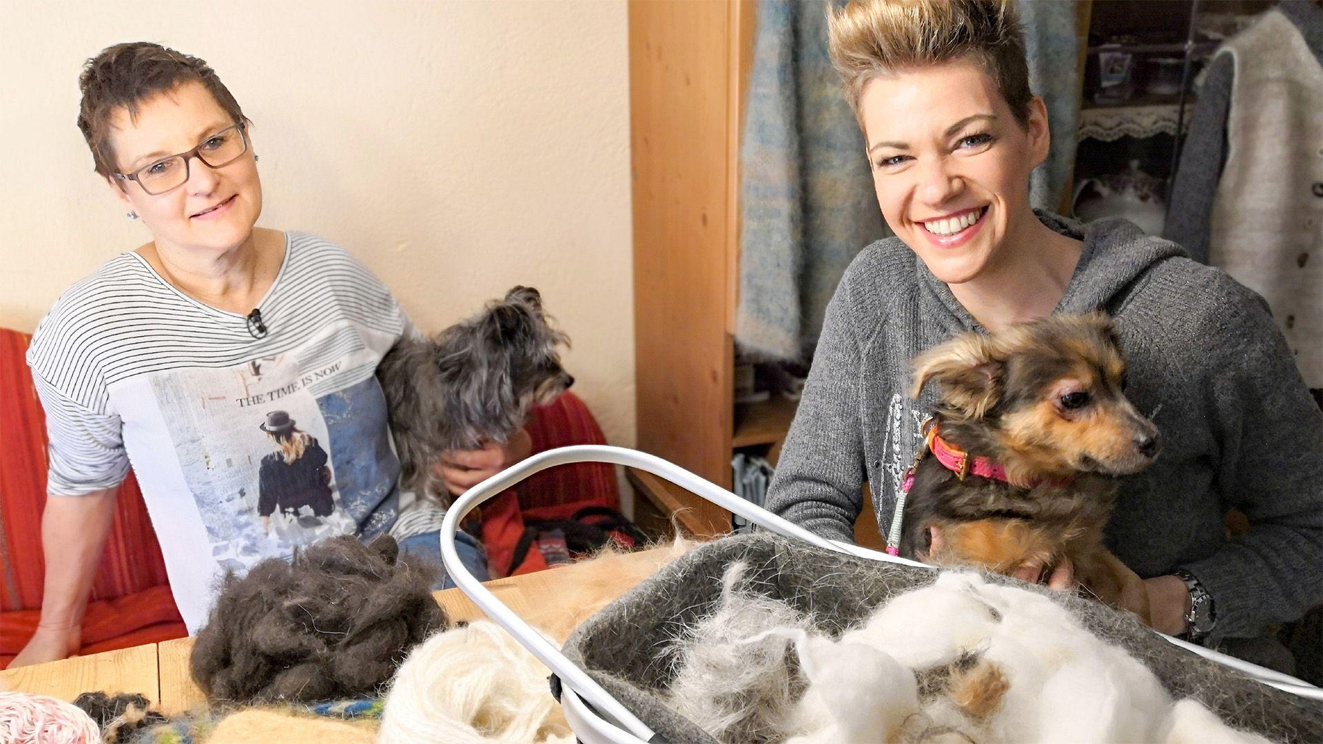 Thema heute u.a.: Stricken mit Hundewolle
