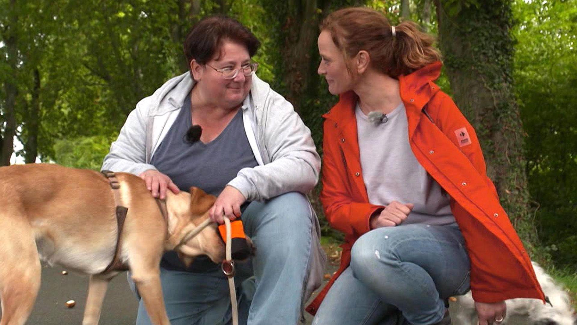 Müll Sammeln mit Hund